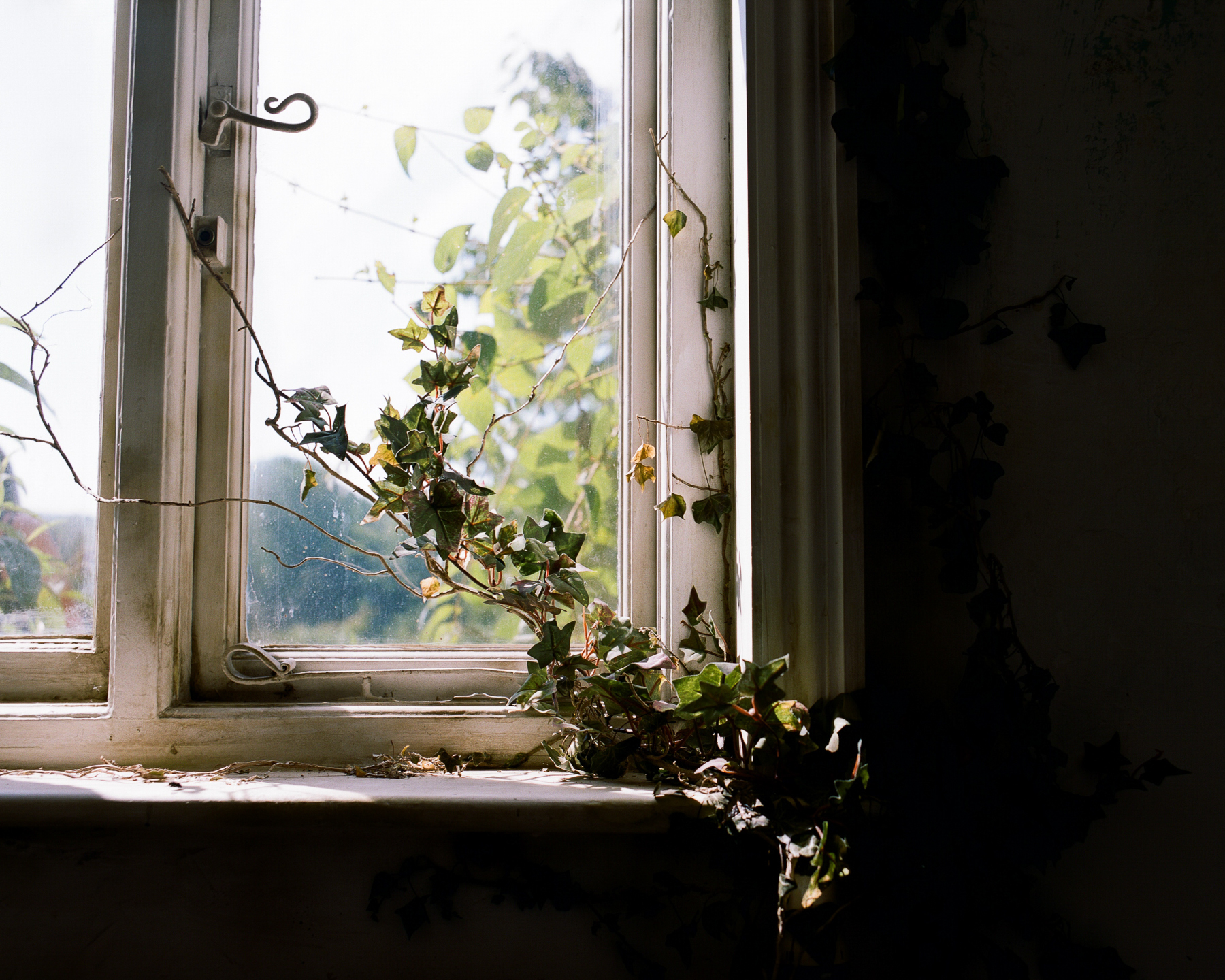 Seeds of Hope | Harewood House