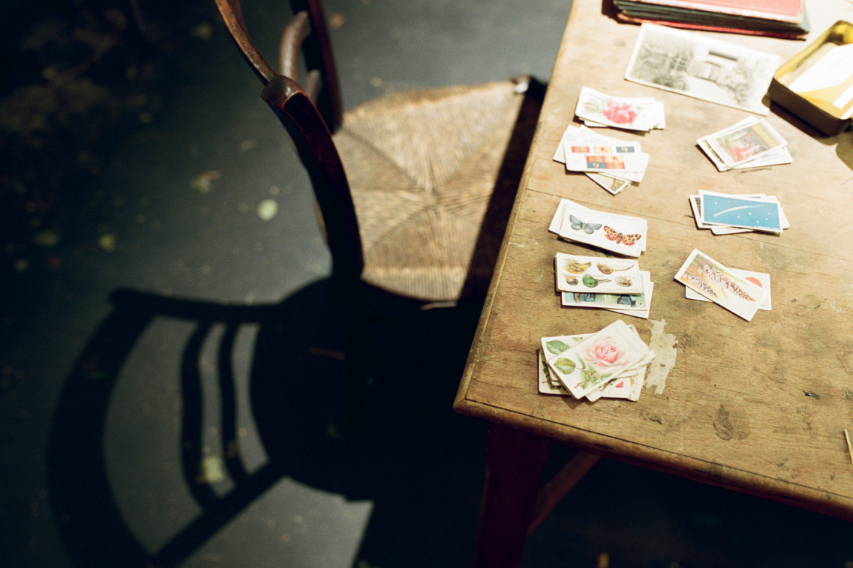 Seeds of Hope | Harewood House