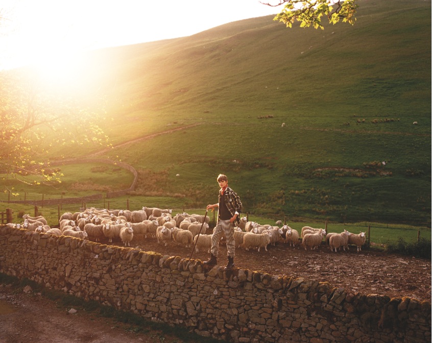 Stella Tennant | Town and Country