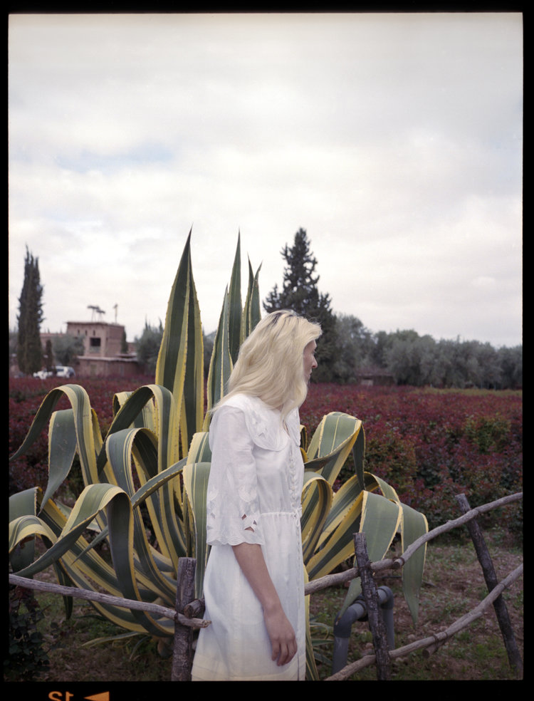 Maggie Maurer | Harrods