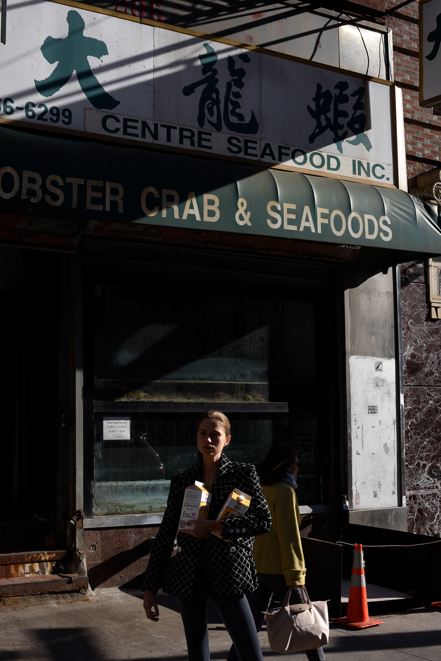Cato van Ee | NYC