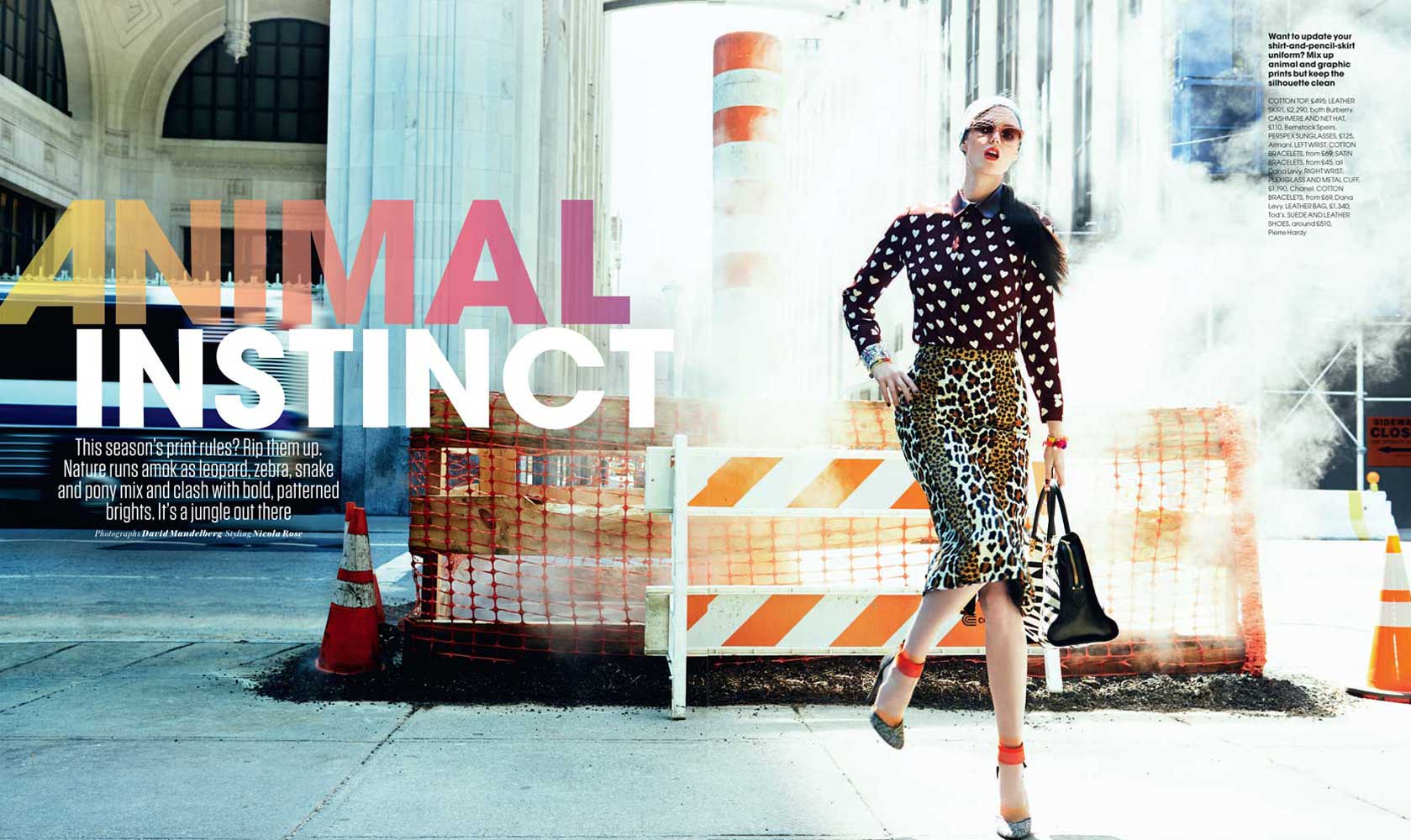 Red | Animal Magic