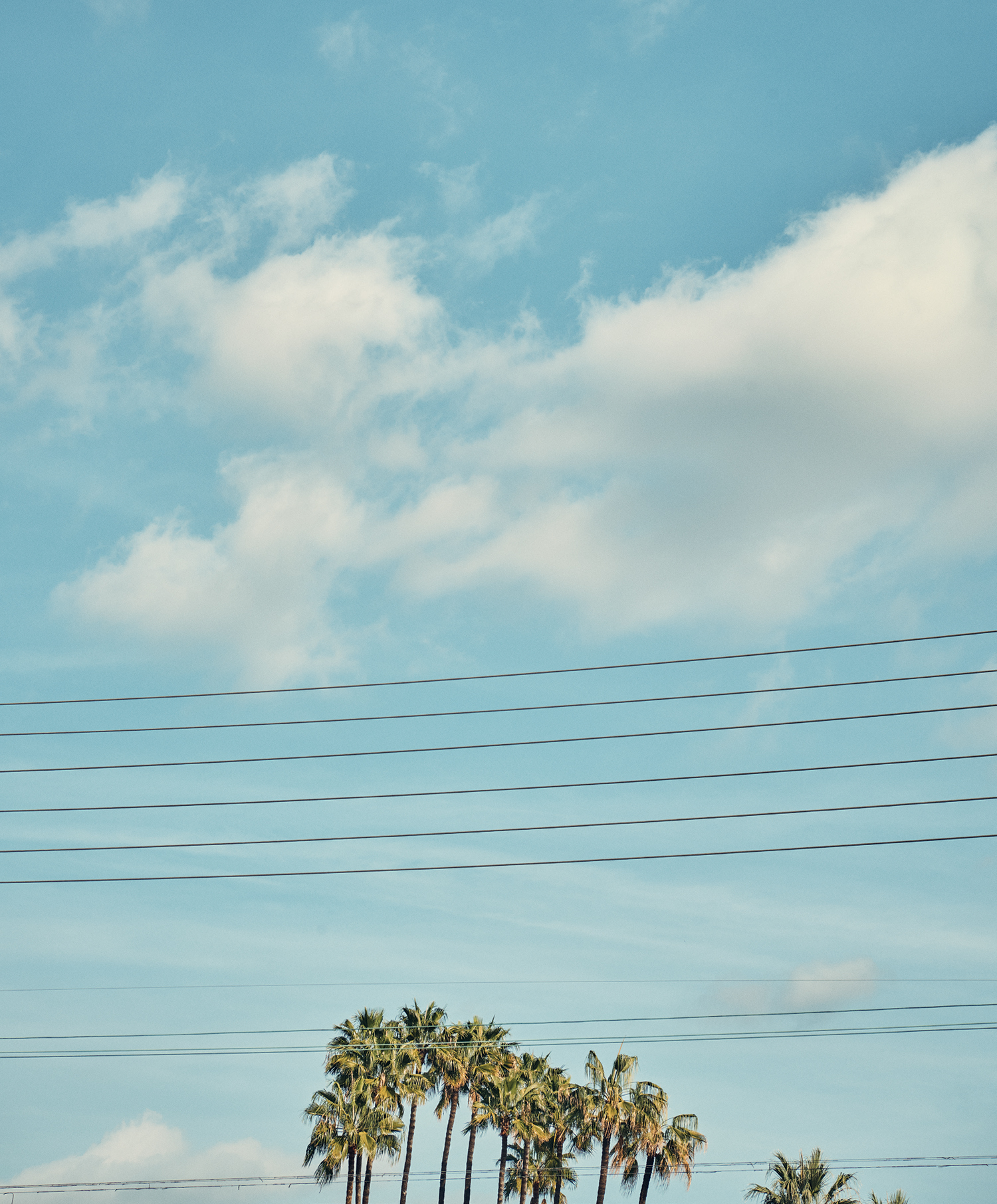 Earnshaw’s | La La Land