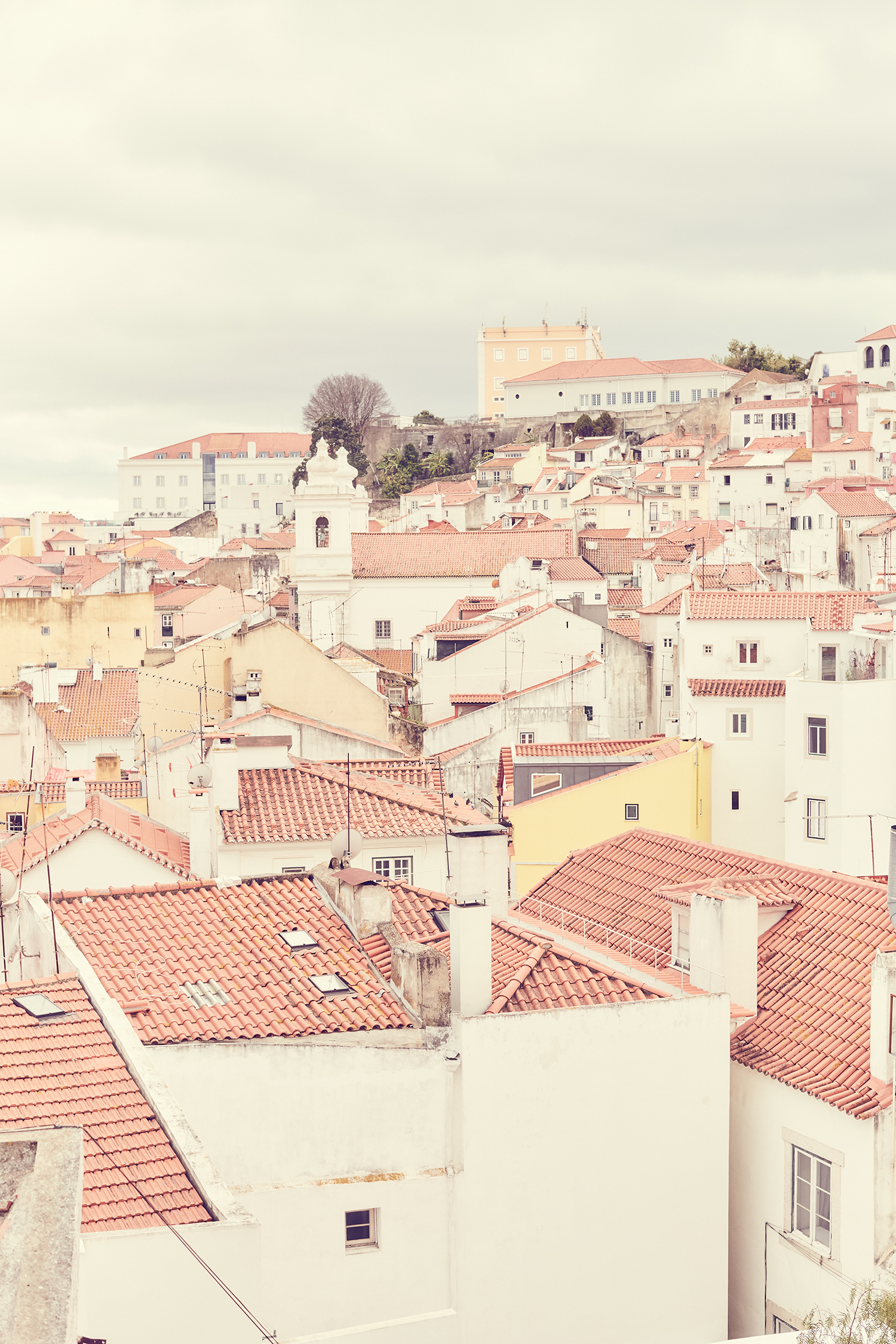 Red | Day Trippin’