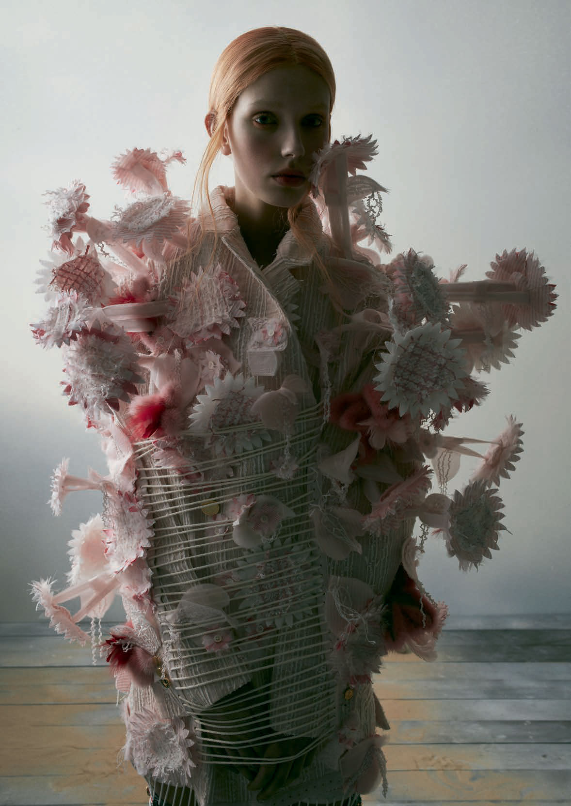 the tale of amphitrite