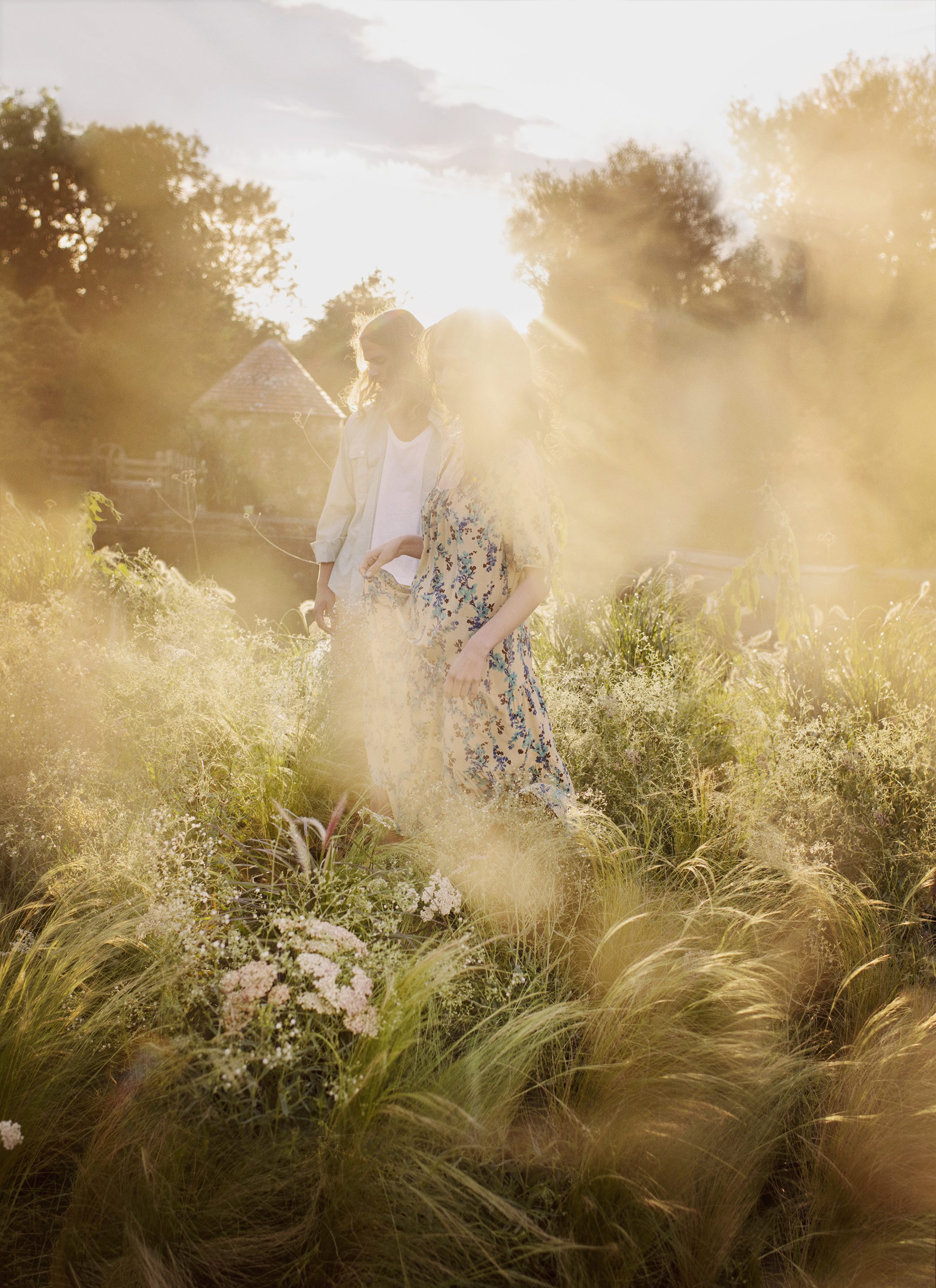 WILD FLOWERS & WEEDS | JO MALONE