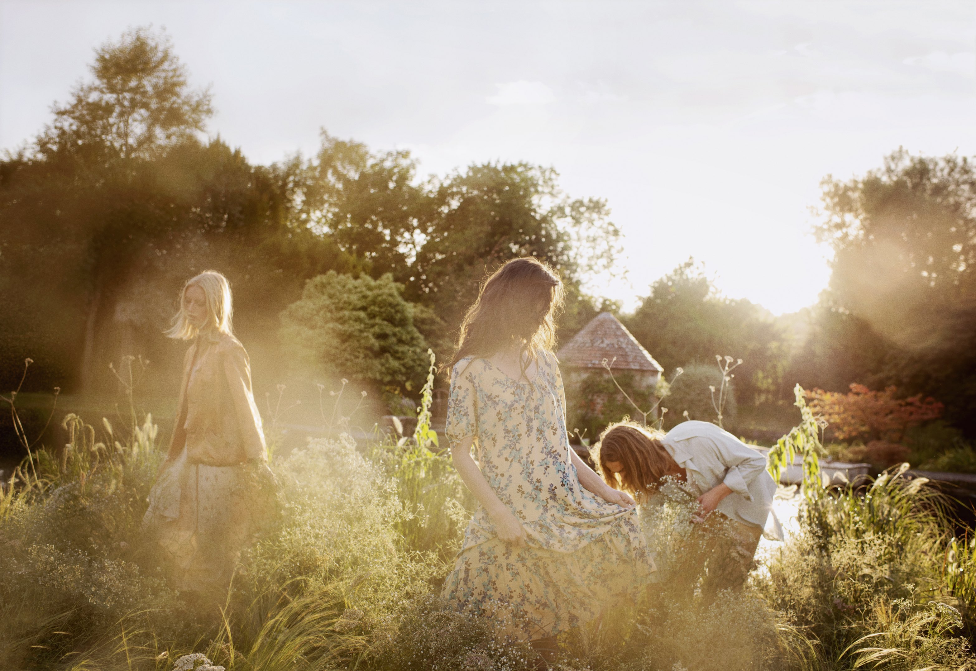 WILD FLOWERS & WEEDS | JO MALONE