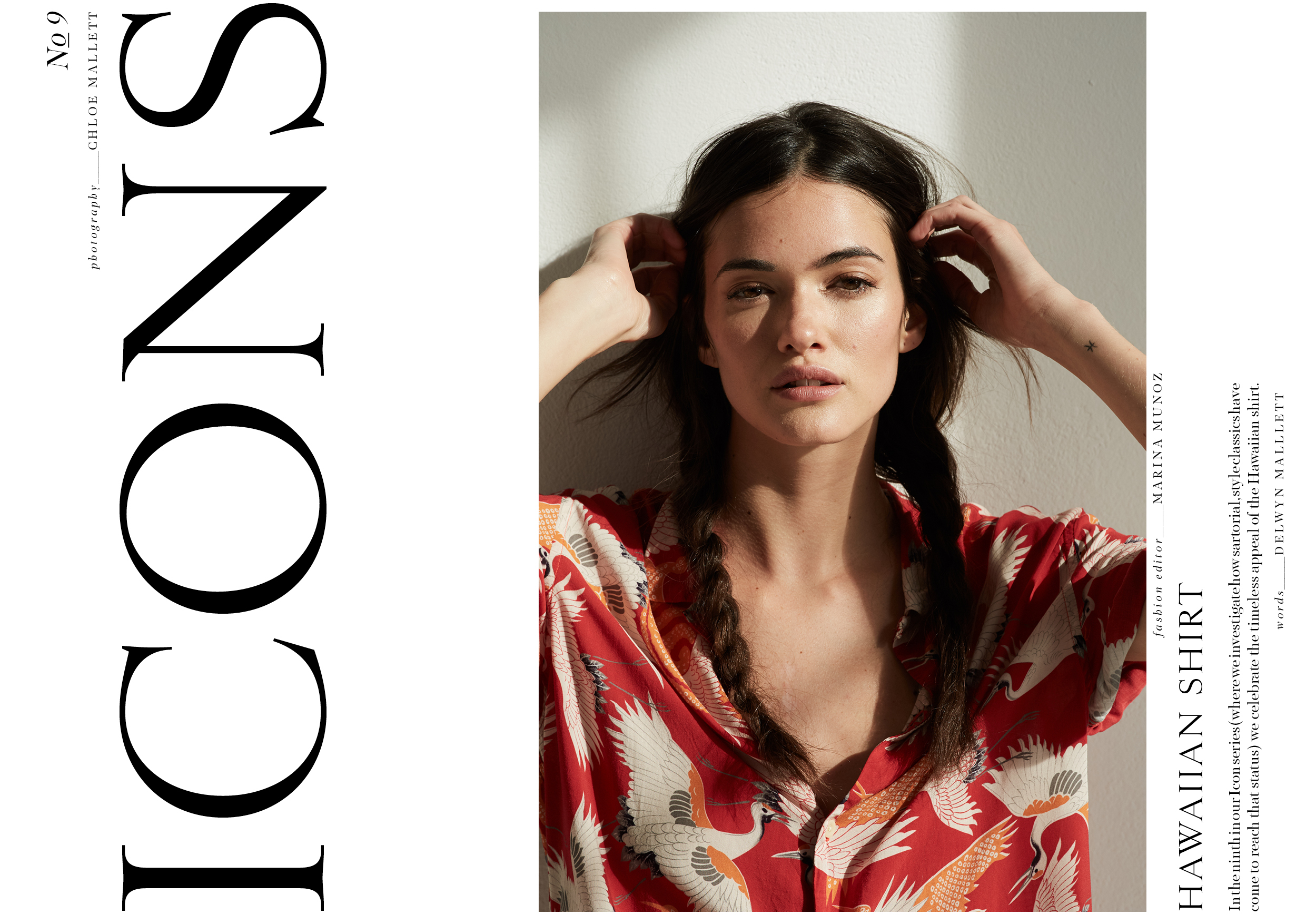 Icons | Make Magazine