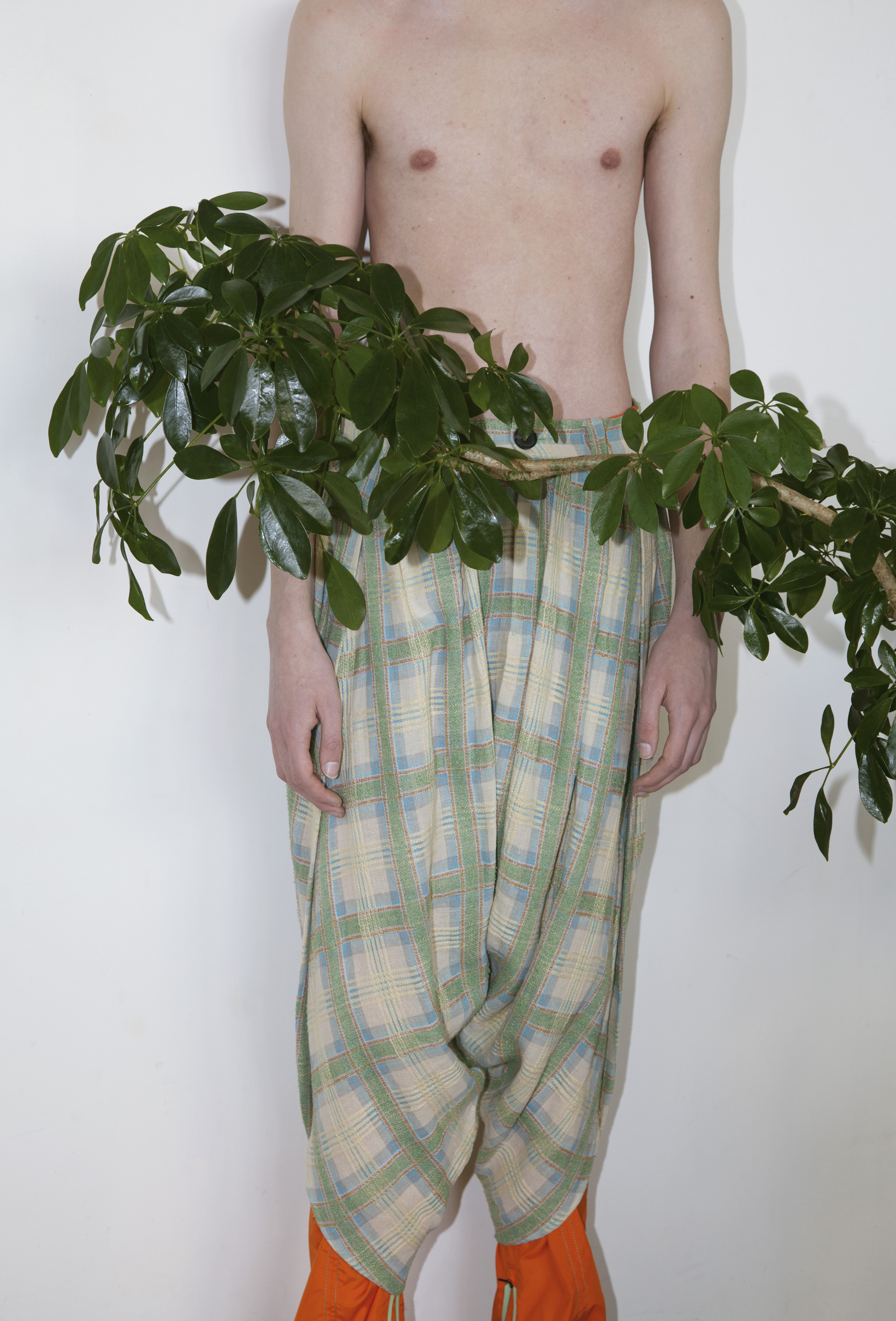 Kiko Kostadinov | Ansinth