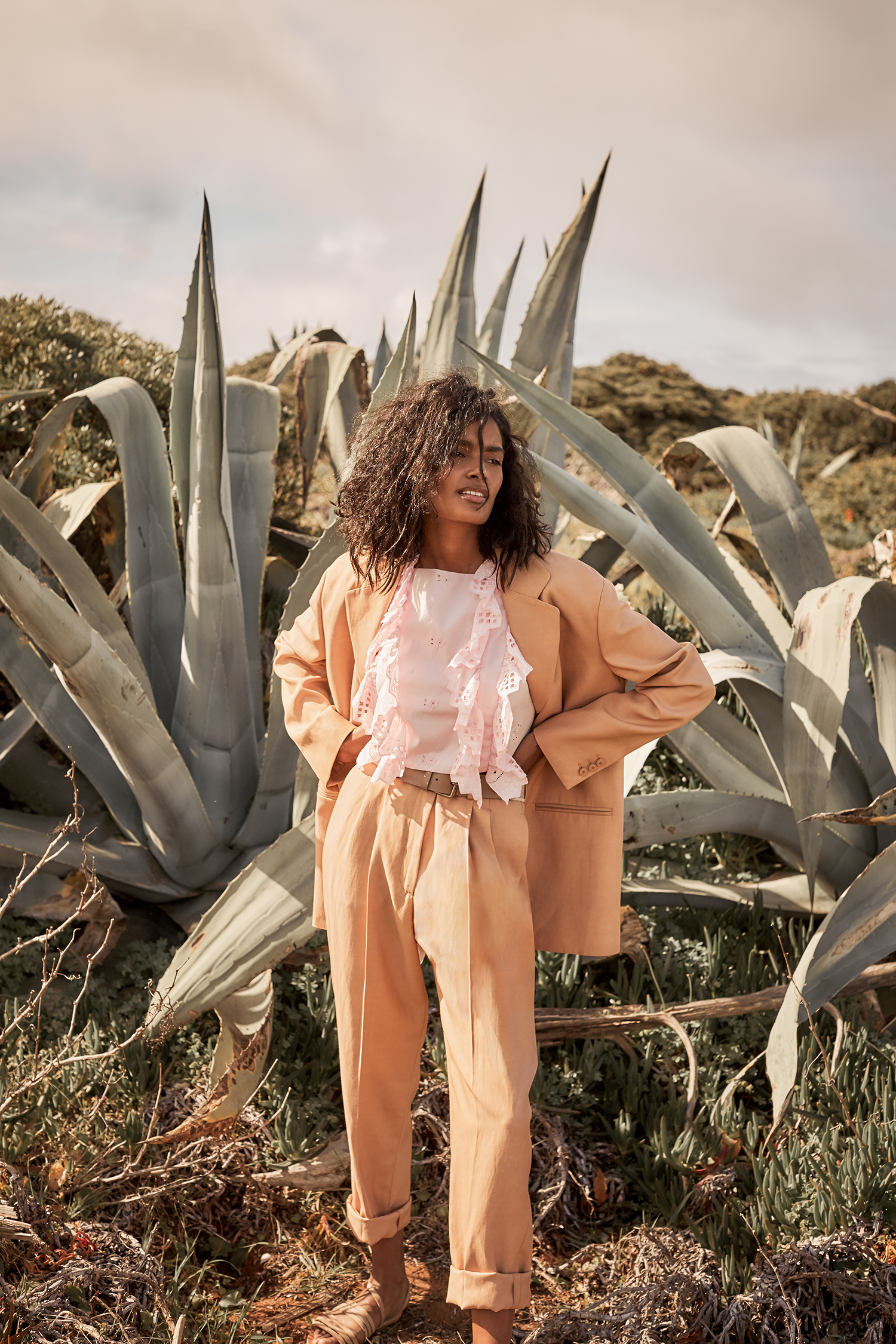 Red | Desert Rose