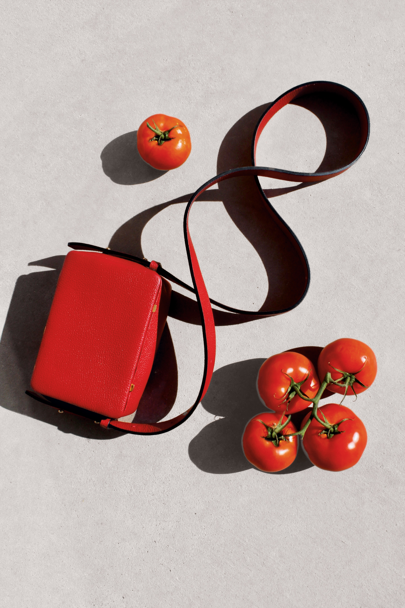 Totes Amazebags
