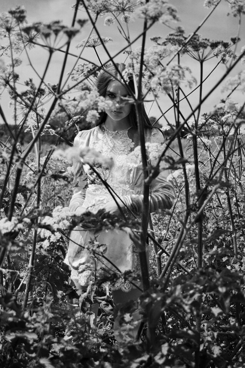 Violet Book | Issue 6