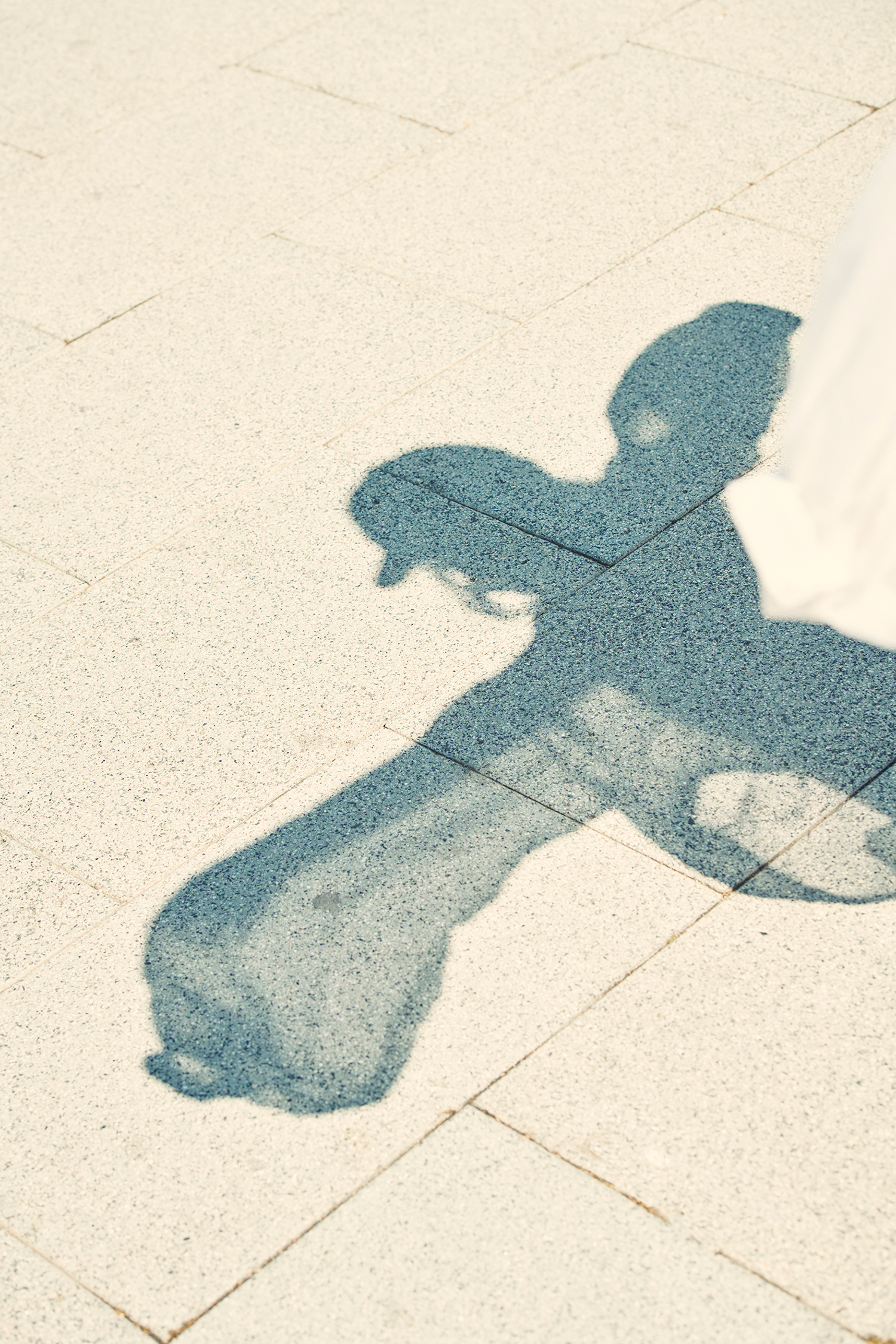 Hooligans | Blue Bird