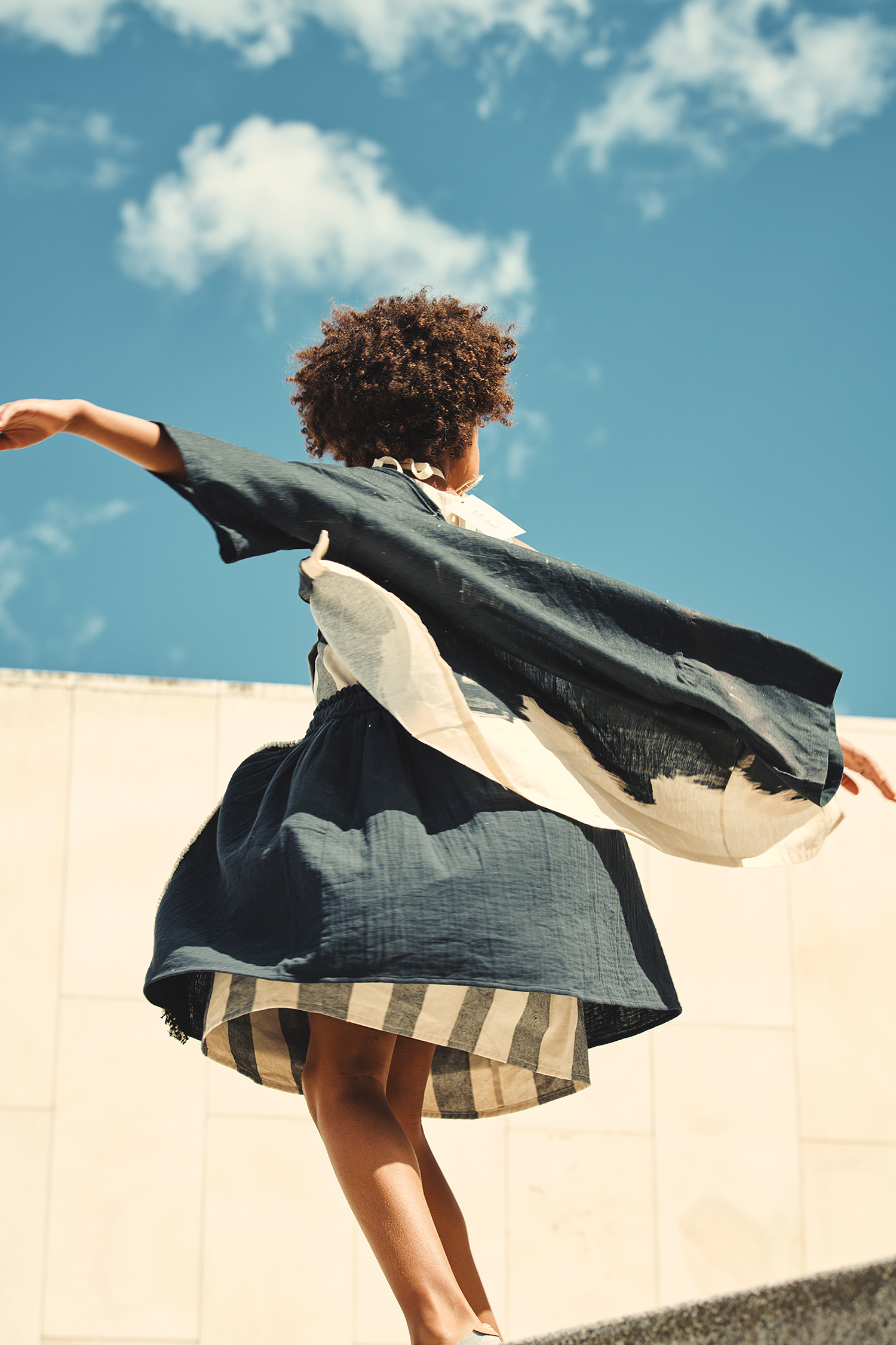 Hooligans | Blue Bird