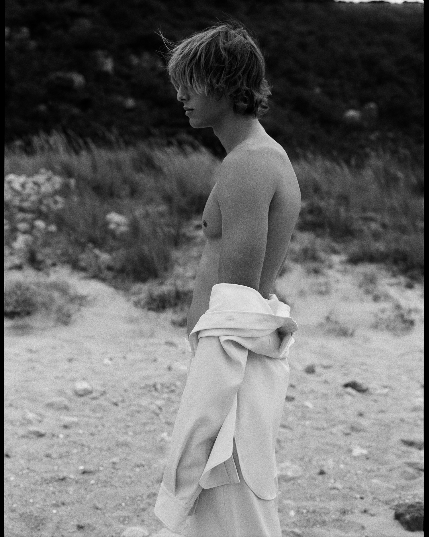 Vincenzo Mola | D Section