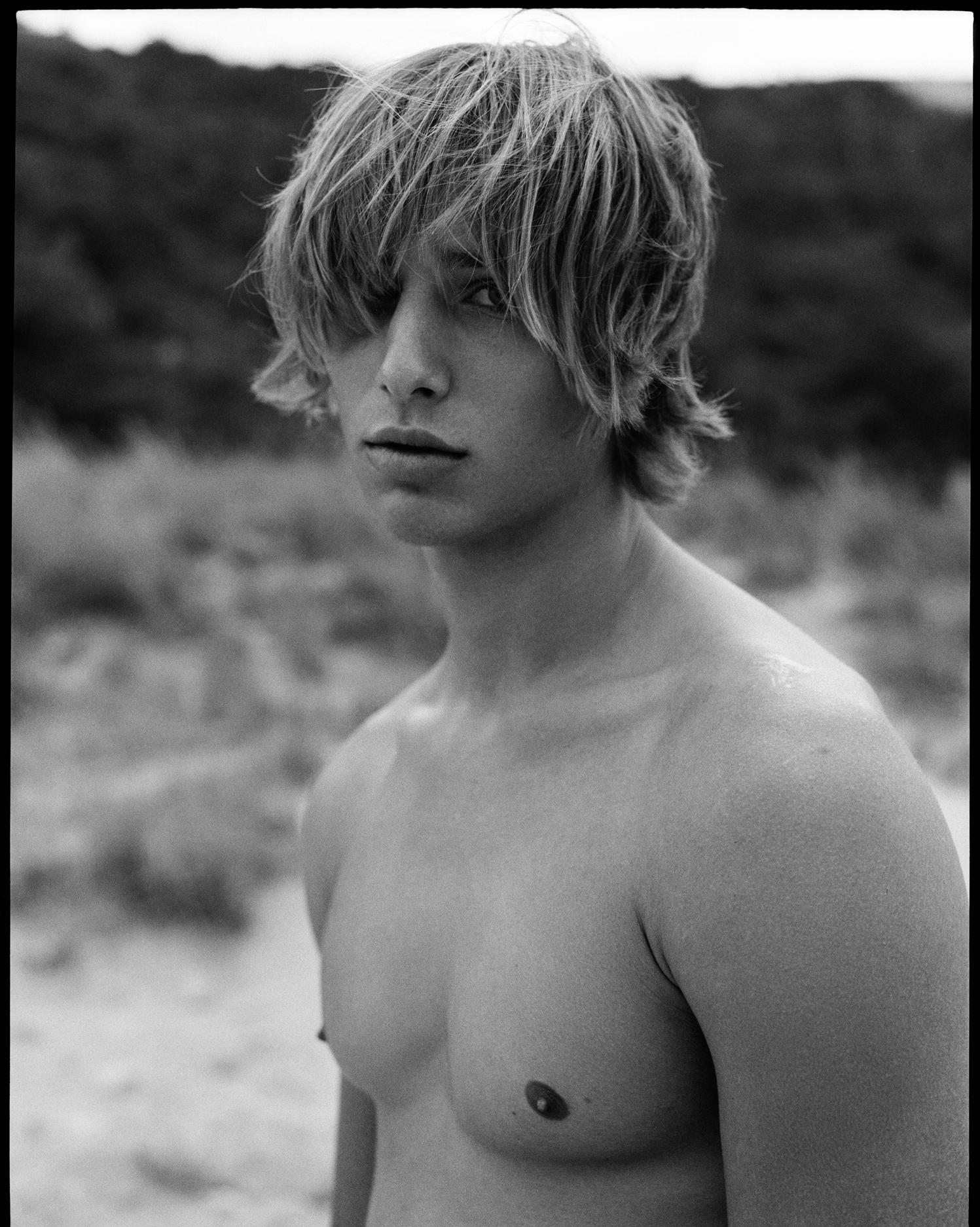 Vincenzo Mola | D Section