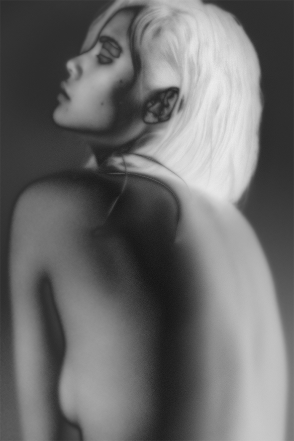 Bird in a Wire | 5Eleven