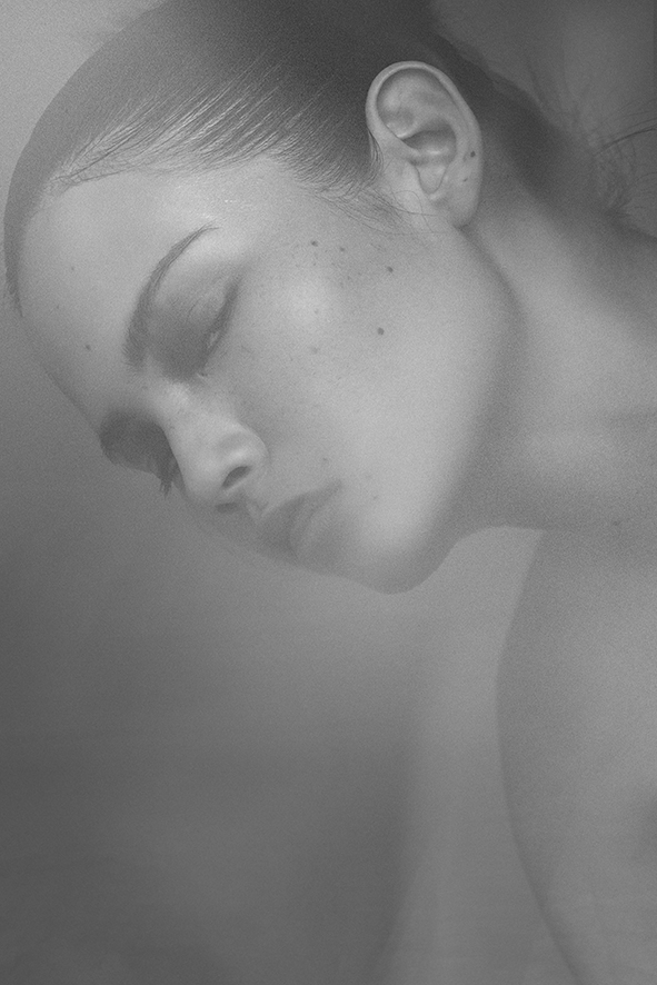 Bird in a Wire | 5Eleven