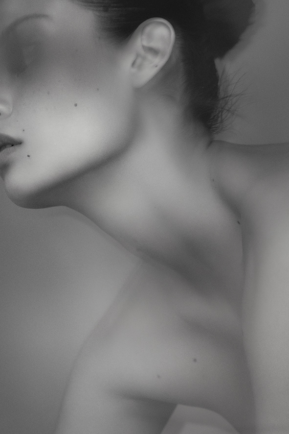 Bird in a Wire | 5Eleven