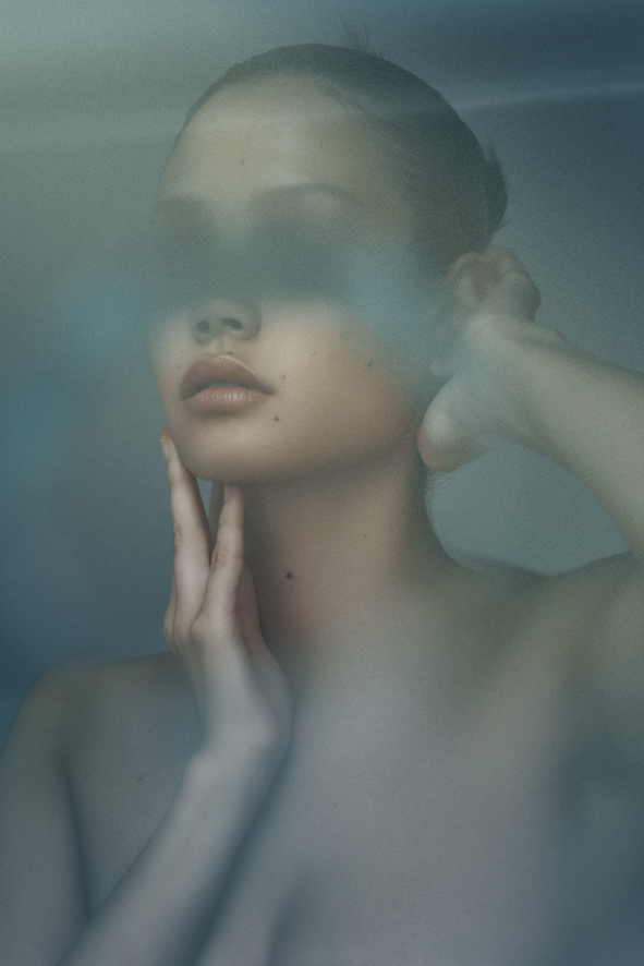 Bird in a Wire | 5Eleven