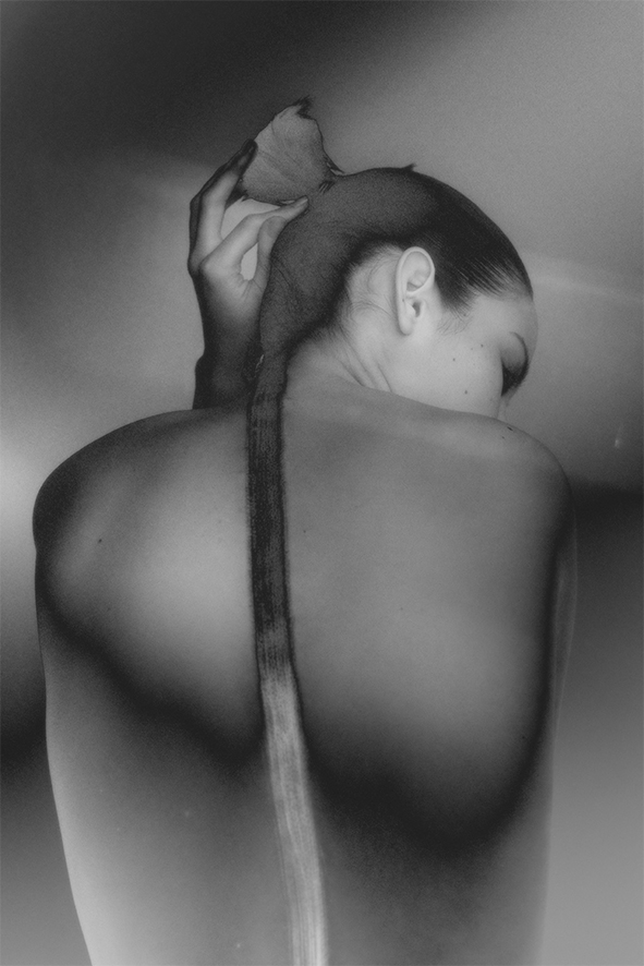 Bird in a Wire | 5Eleven