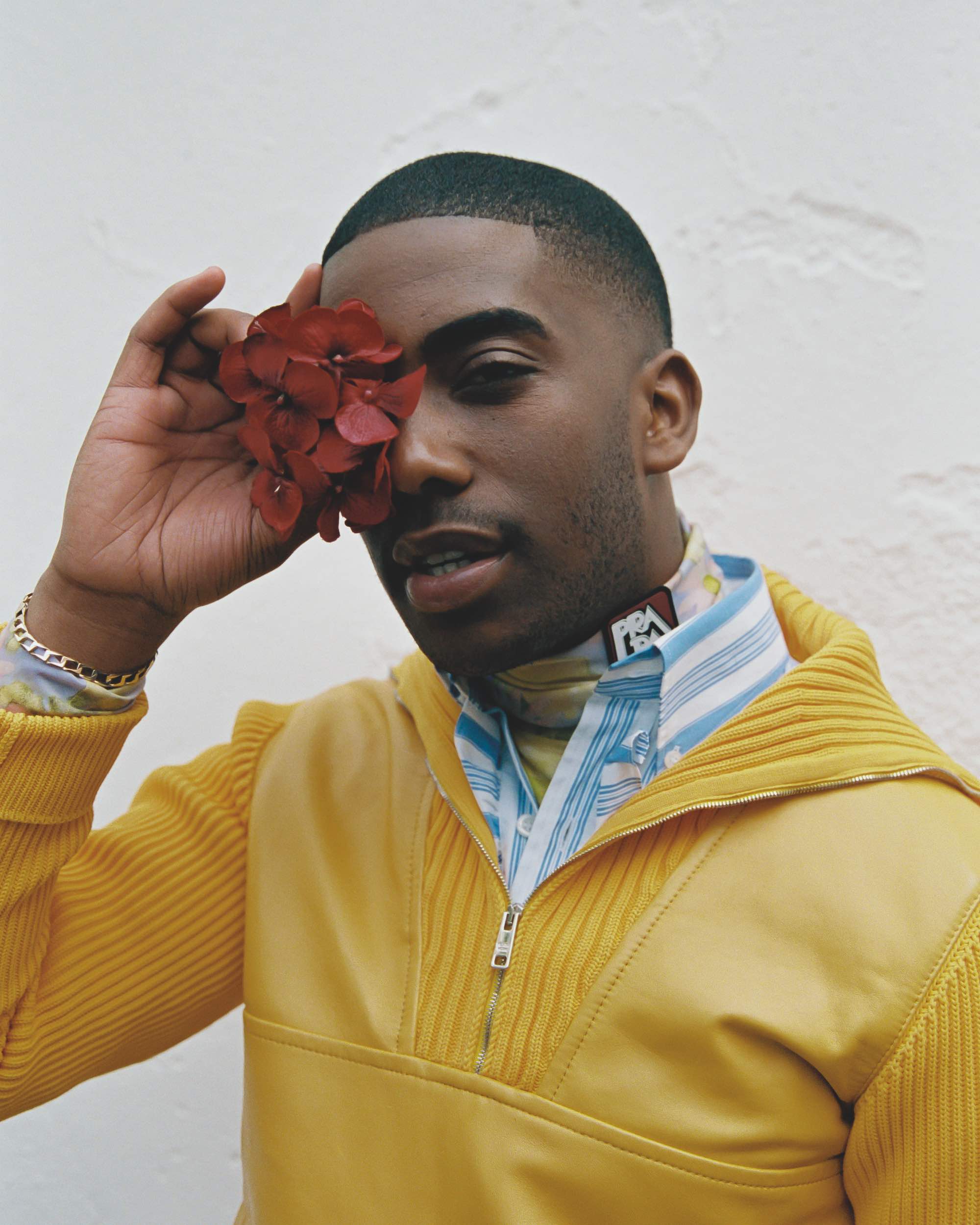 Wonderland | Collard