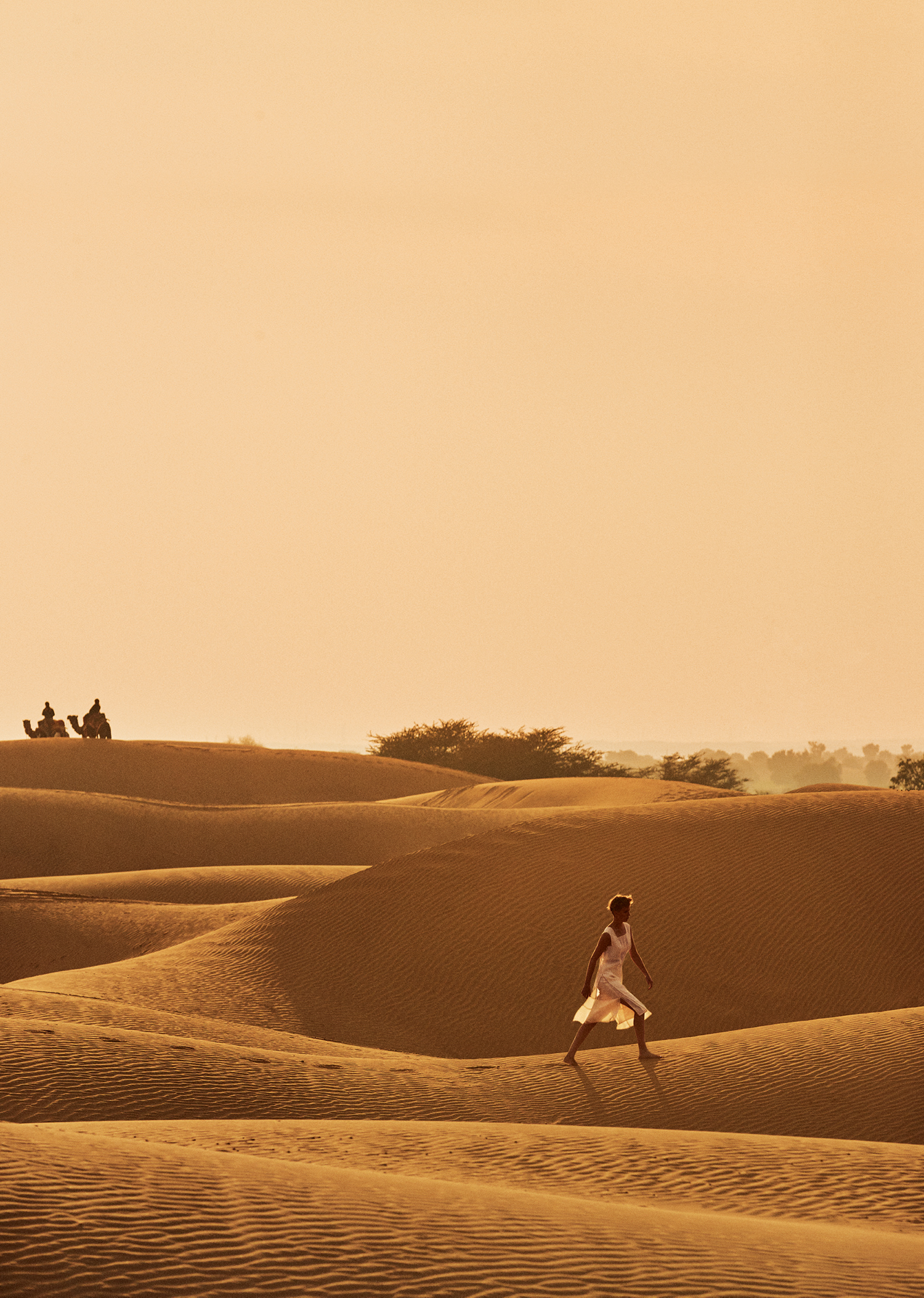 Wild Honey | Conde Nast Traveller