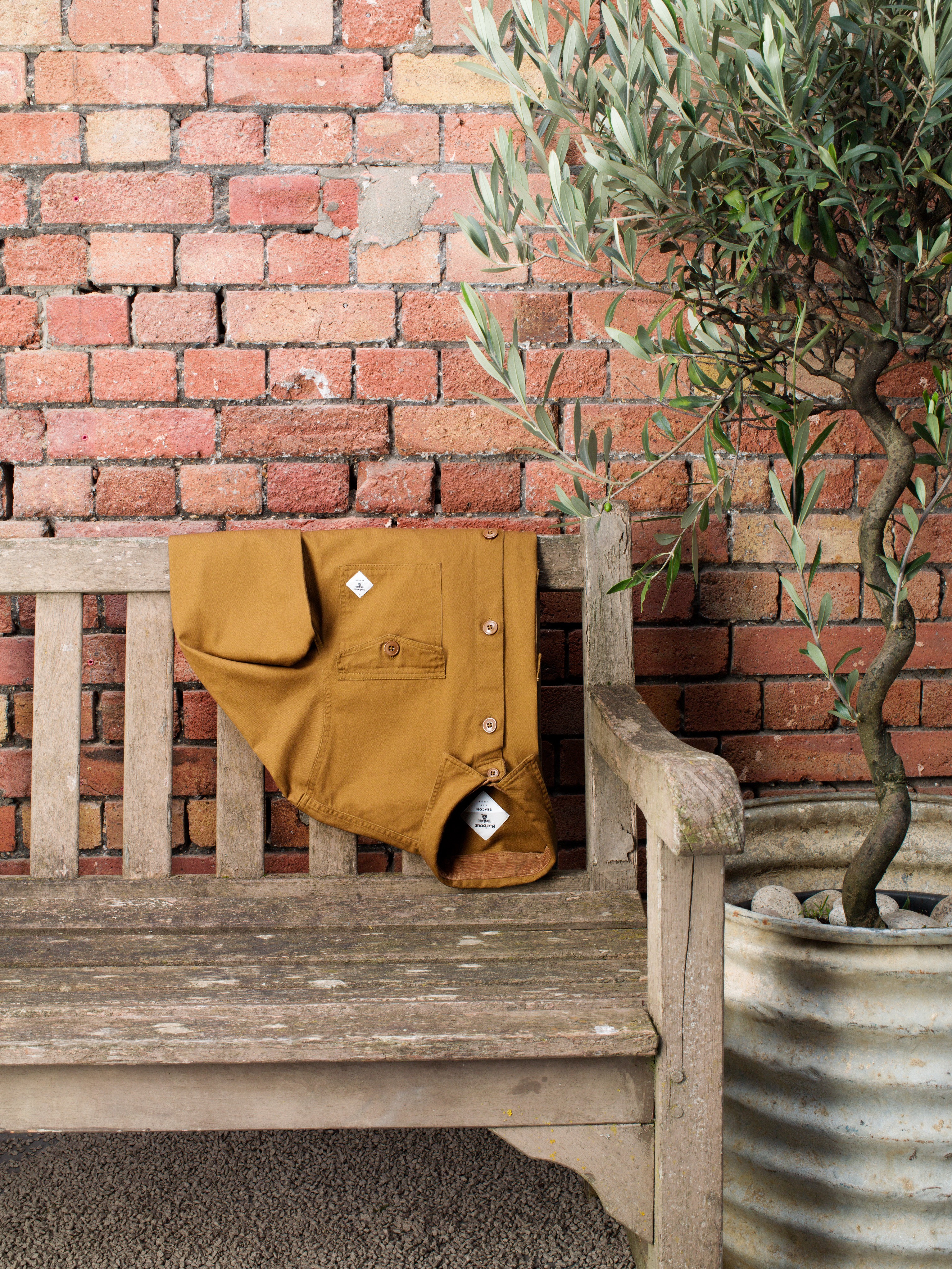 Barbour