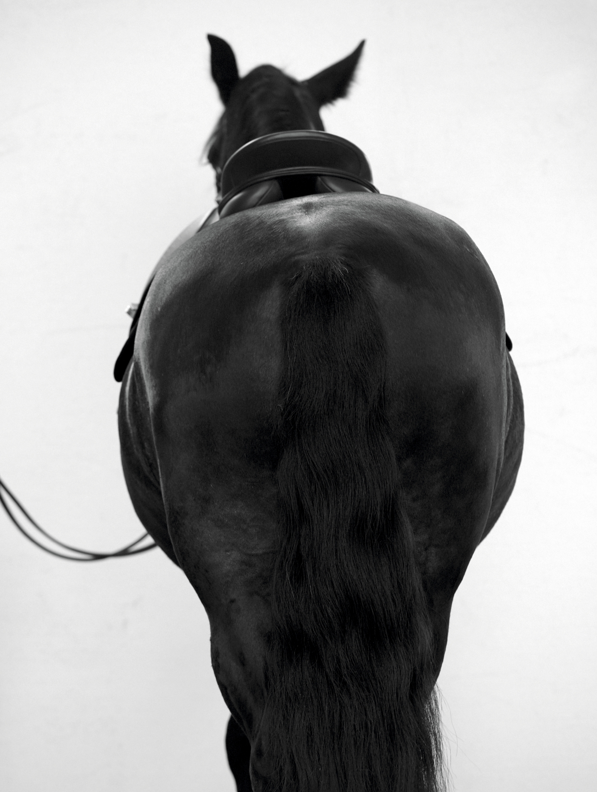 The Princess Diaries | Elle UK