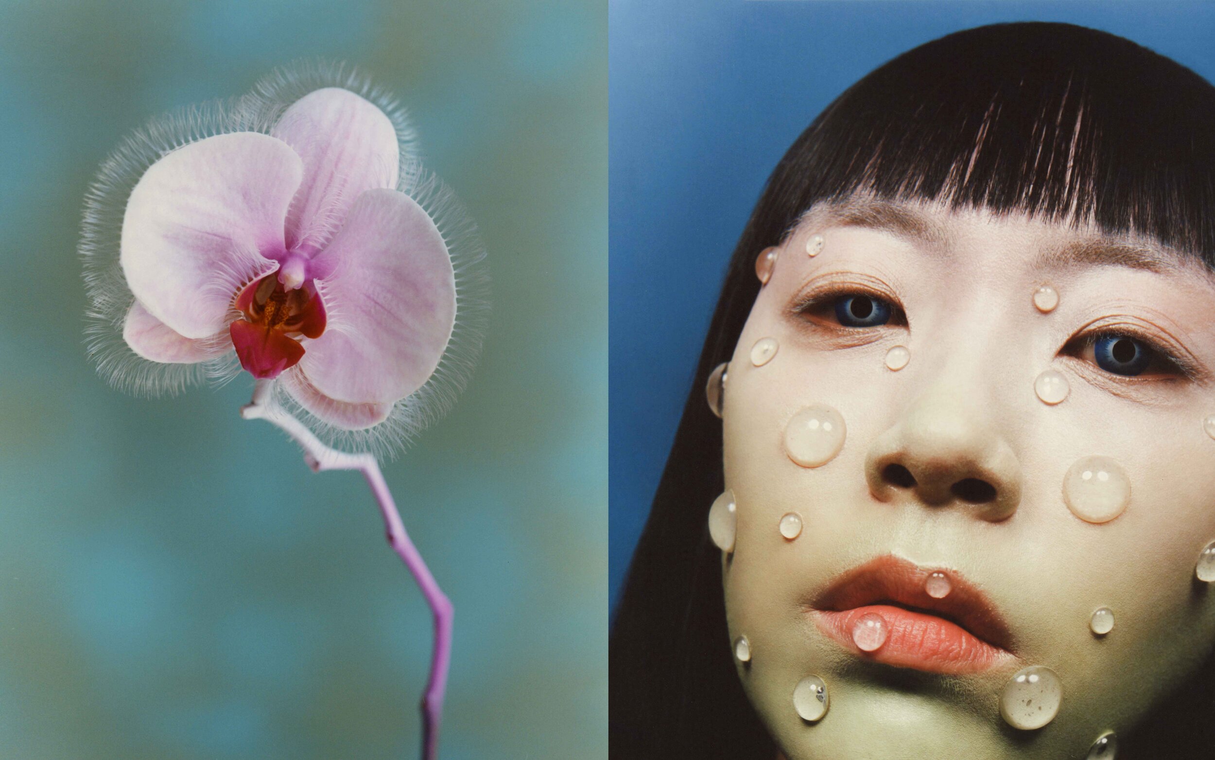 Solar Magazine | Bloom