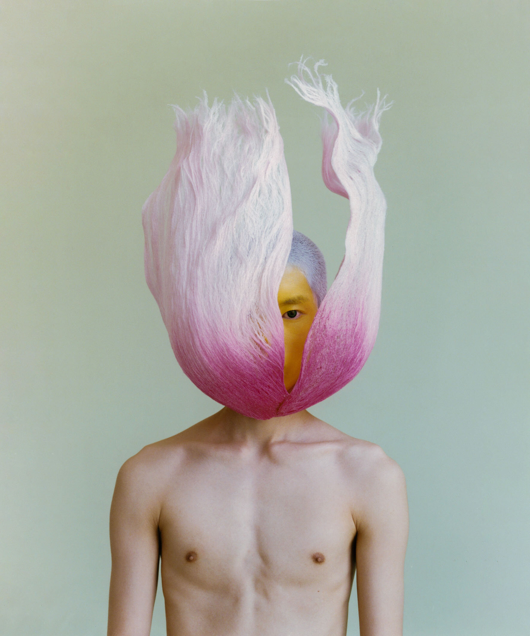 Solar Magazine | Bloom