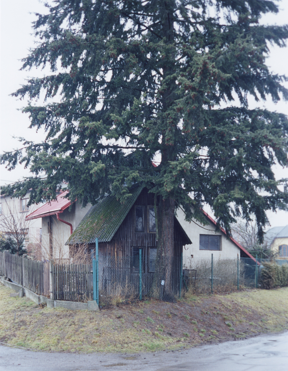 In Bohemia