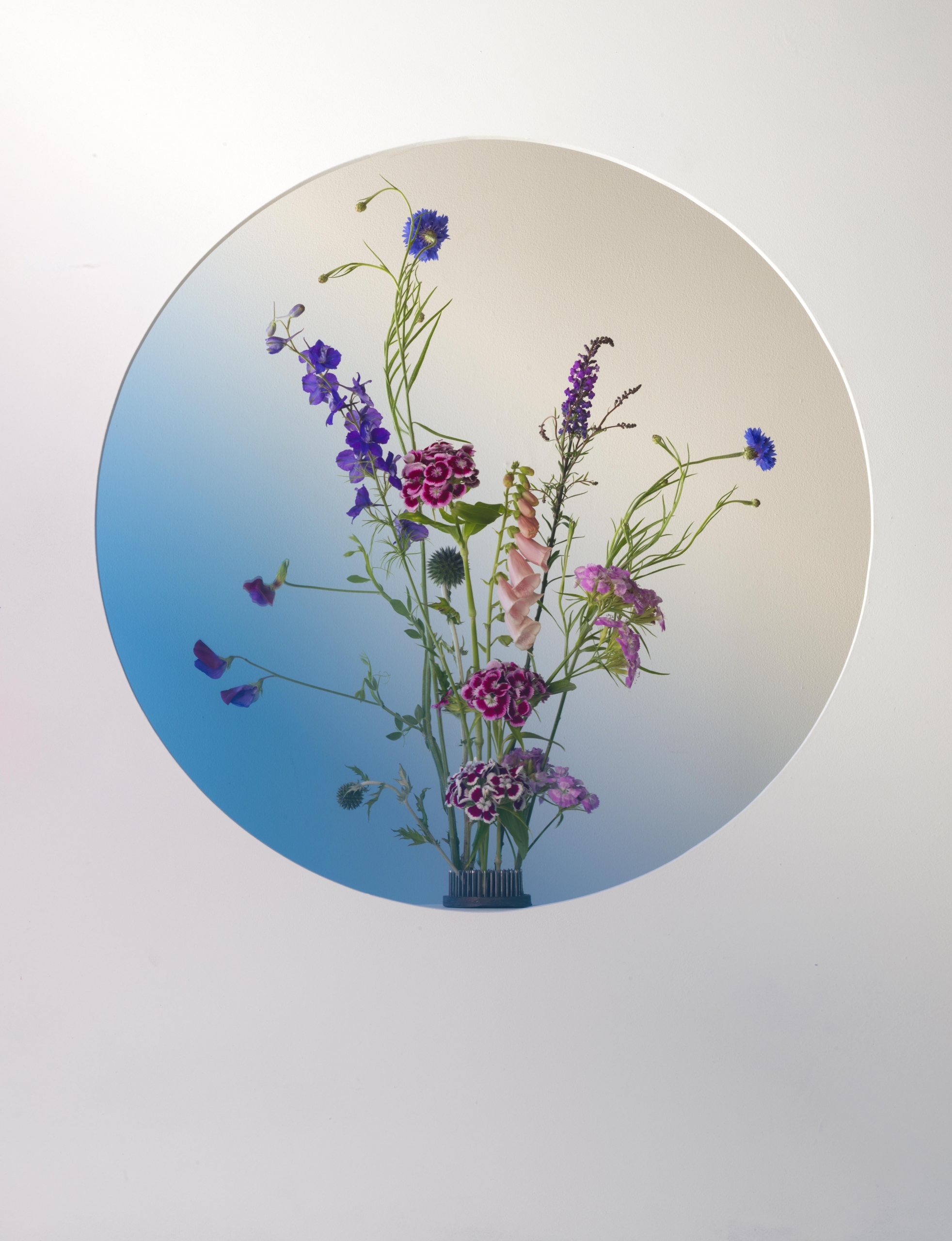 Ultramarine | Rakesprogress