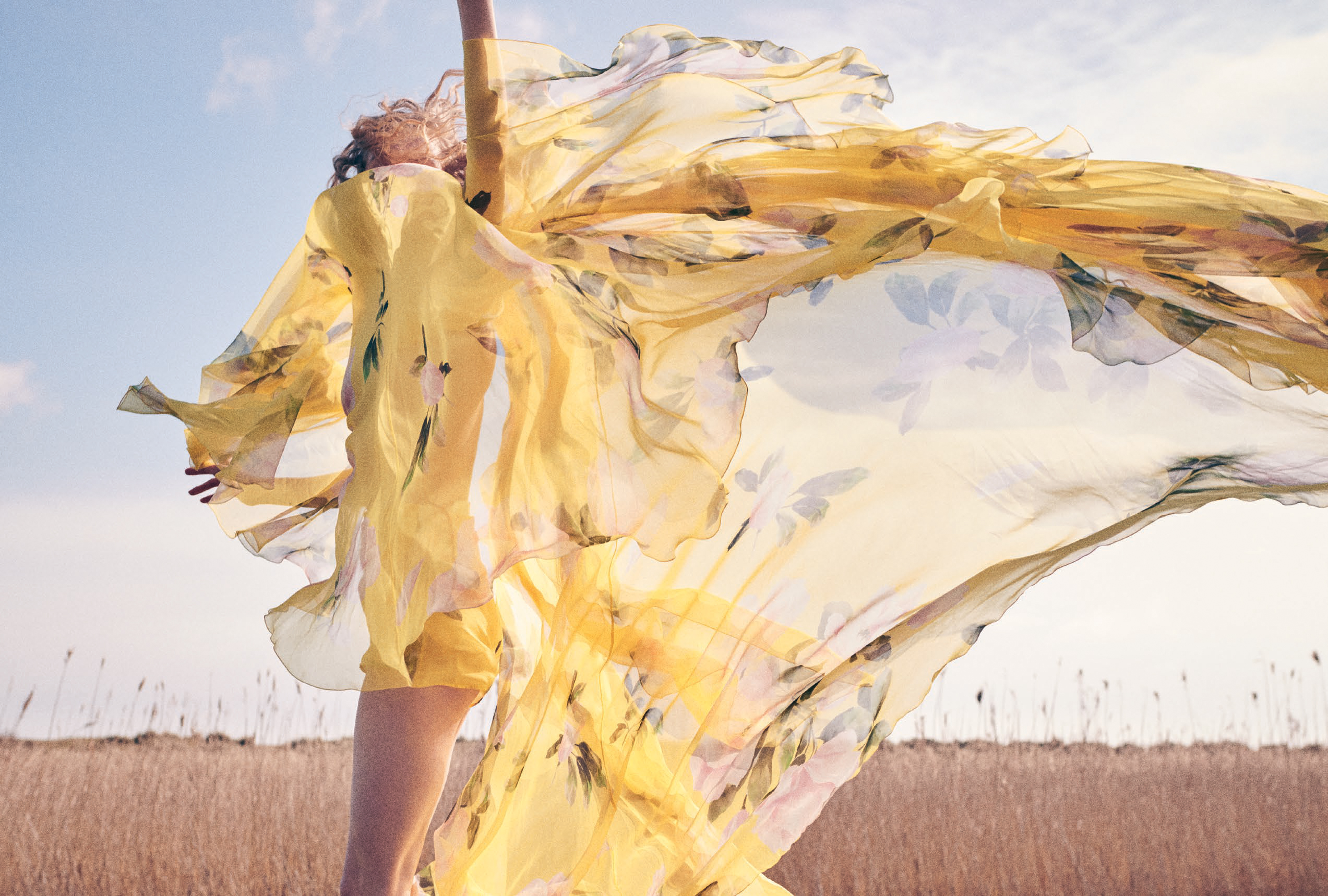 Harper’s Bazaar | Wild & Free