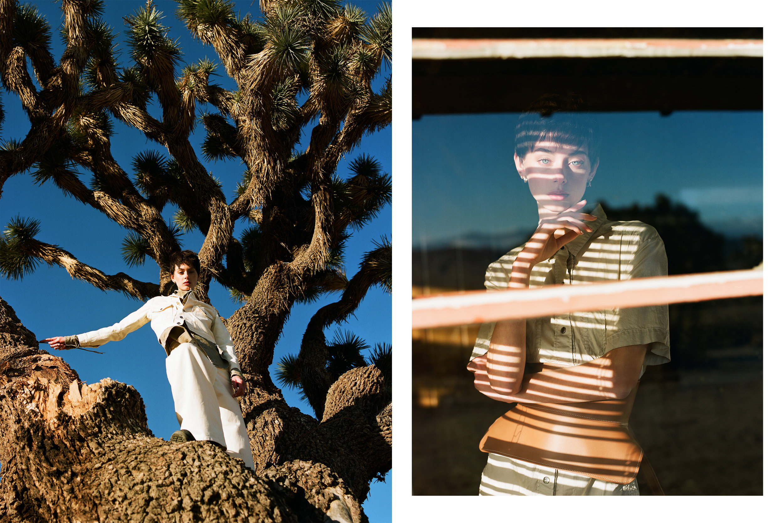 GC MAGAZINE | 2