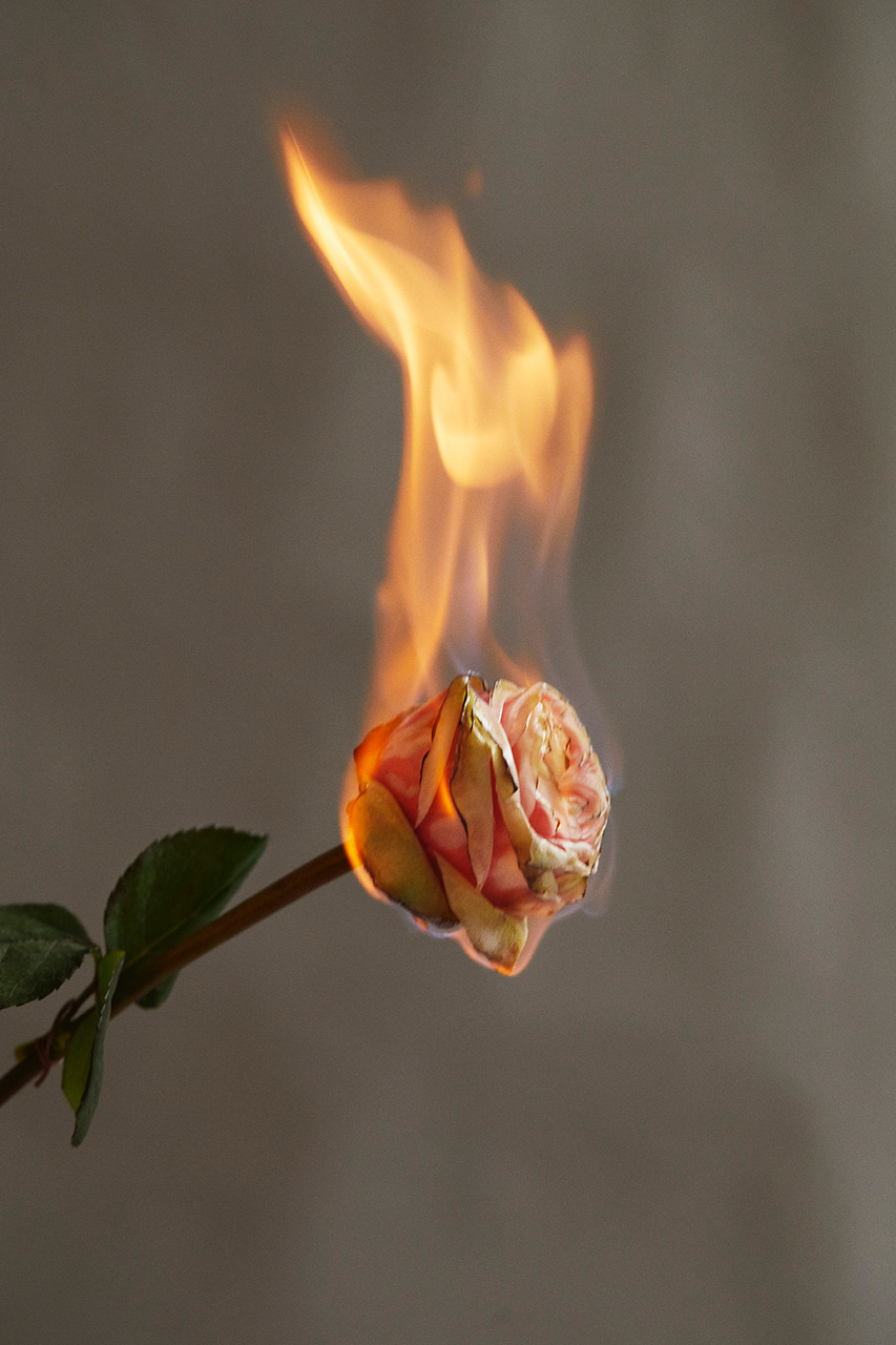 GLASS MAGAZINE | ELEMENTS ON SKIN