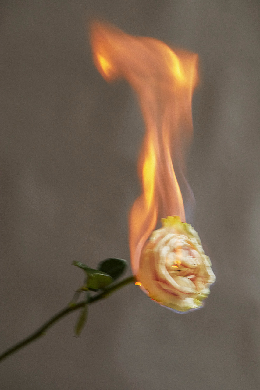 GLASS MAGAZINE | ELEMENTS ON SKIN