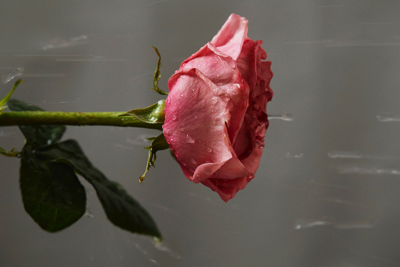 GLASS MAGAZINE | ELEMENTS ON SKIN