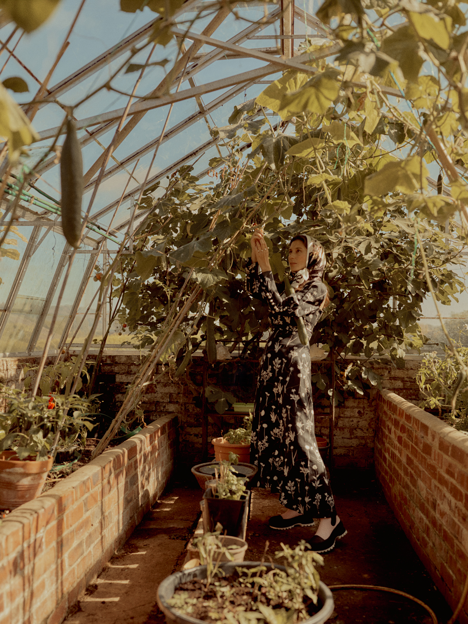 Well Curated | Jasmine Hemsley