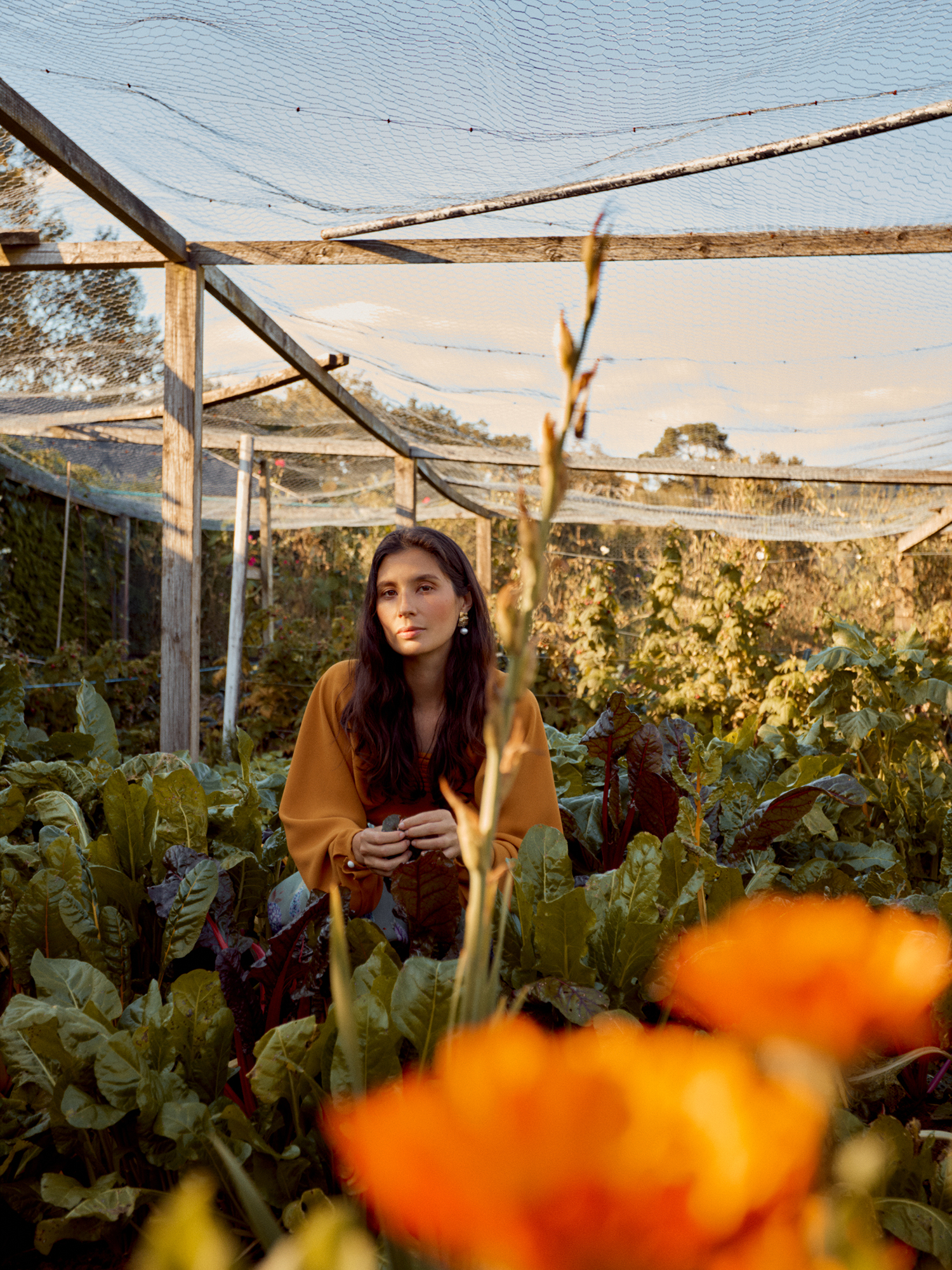 Well Curated | Jasmine Hemsley