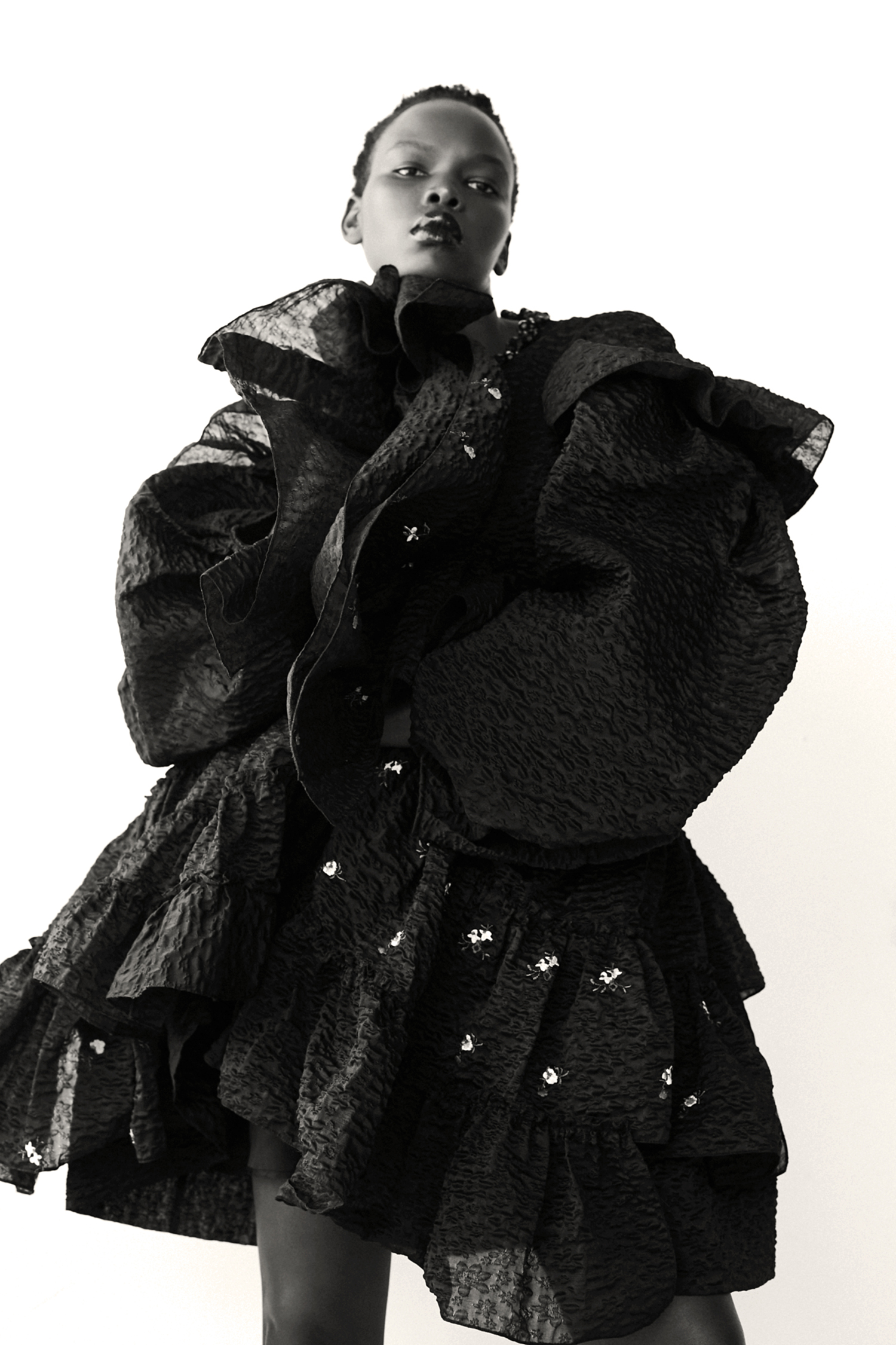 WELL CURATED | ARIISH WOL