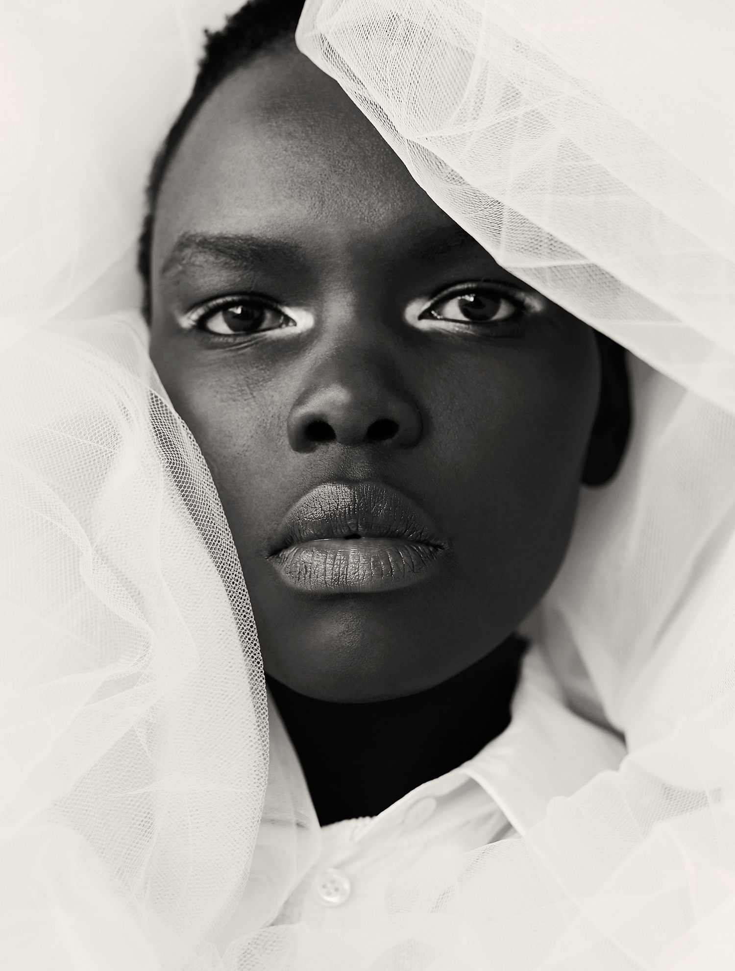 WELL CURATED | ARIISH WOL