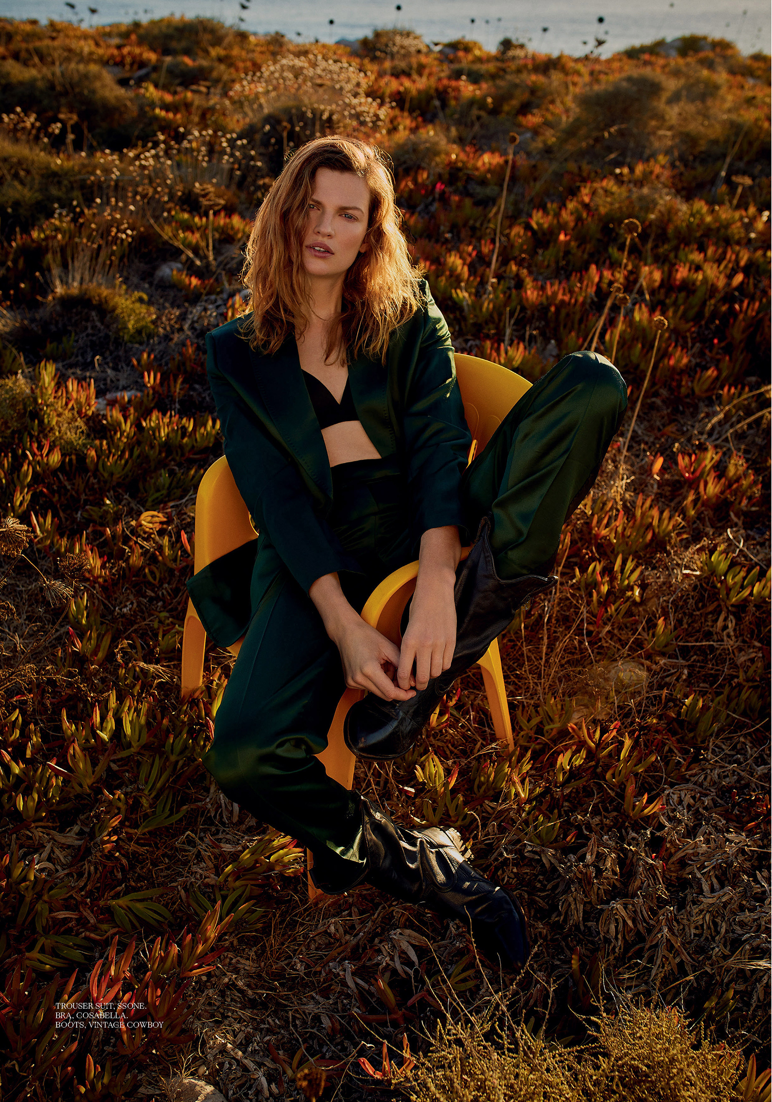 WELL CURATED | A ROAD WELL TRAVELLED