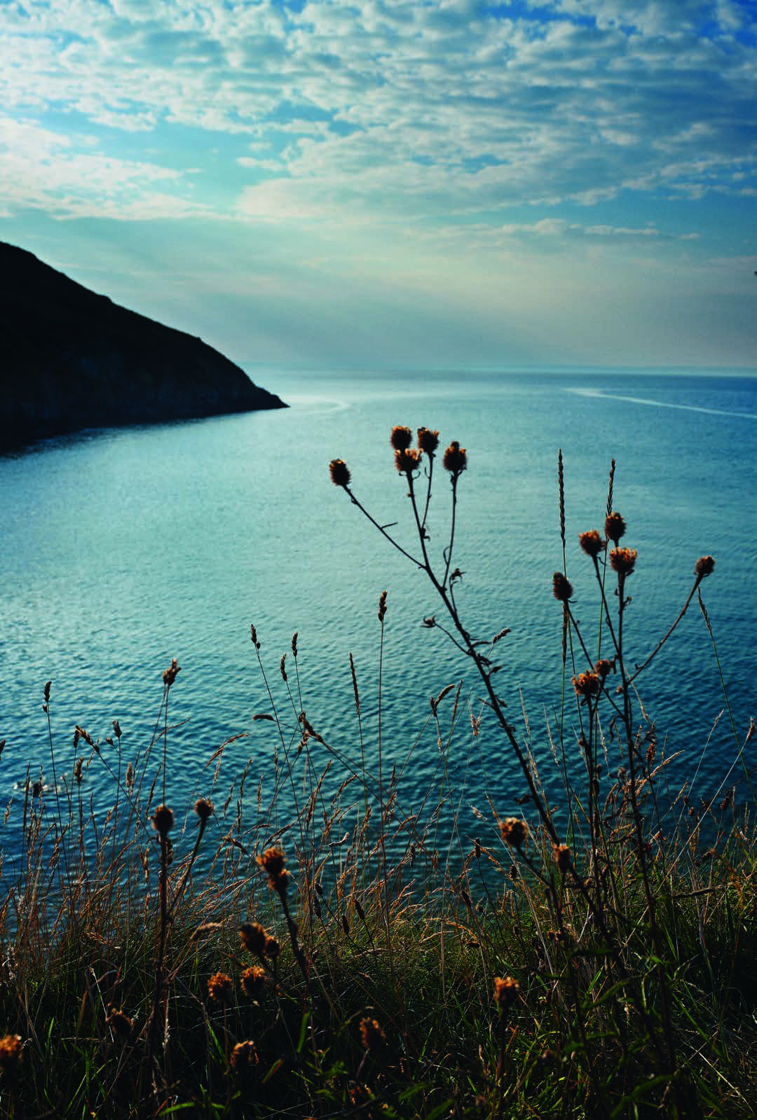 WELL CURATED | WELL TRAVELLED | JAMES AIKEN