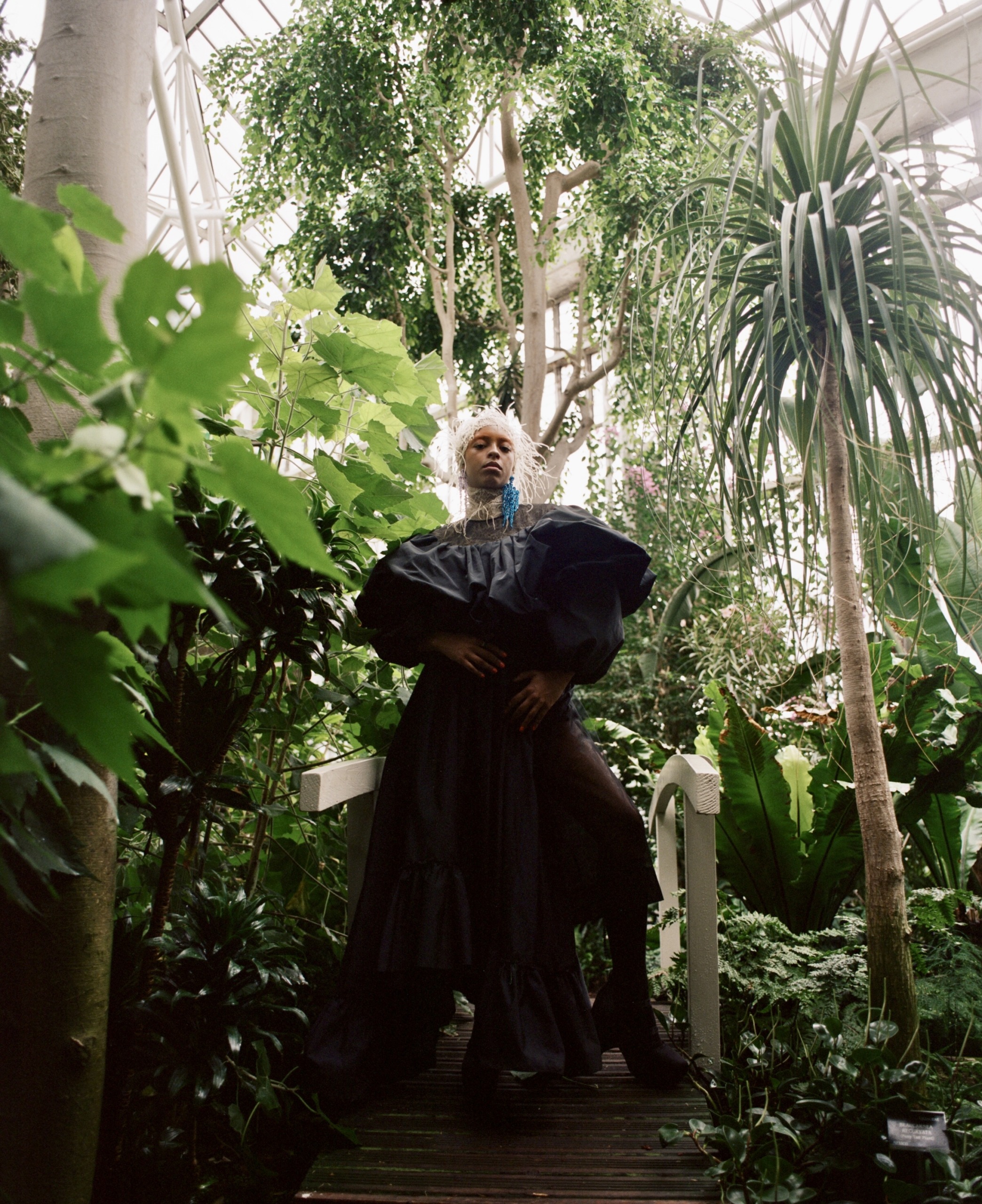 KELSEY LU | THE GUARDIAN GUIDE