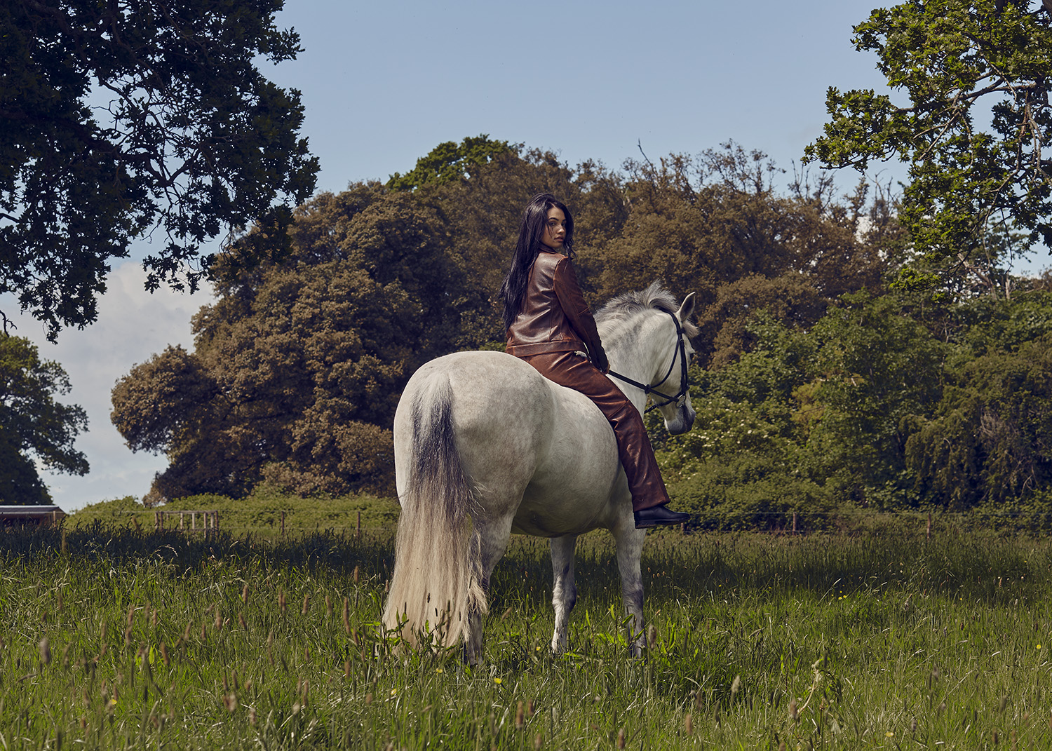Mabel | The Observer