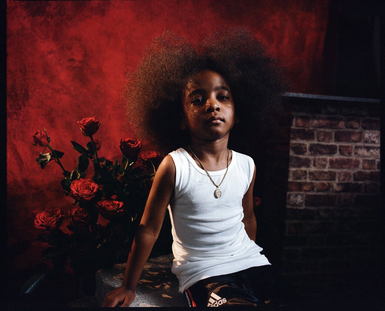 CONCRETE ROSE