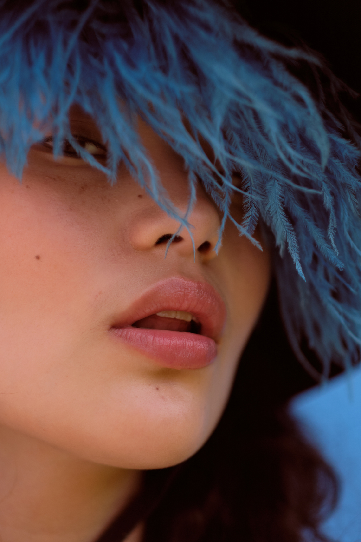 FY | Dream Baby Dream