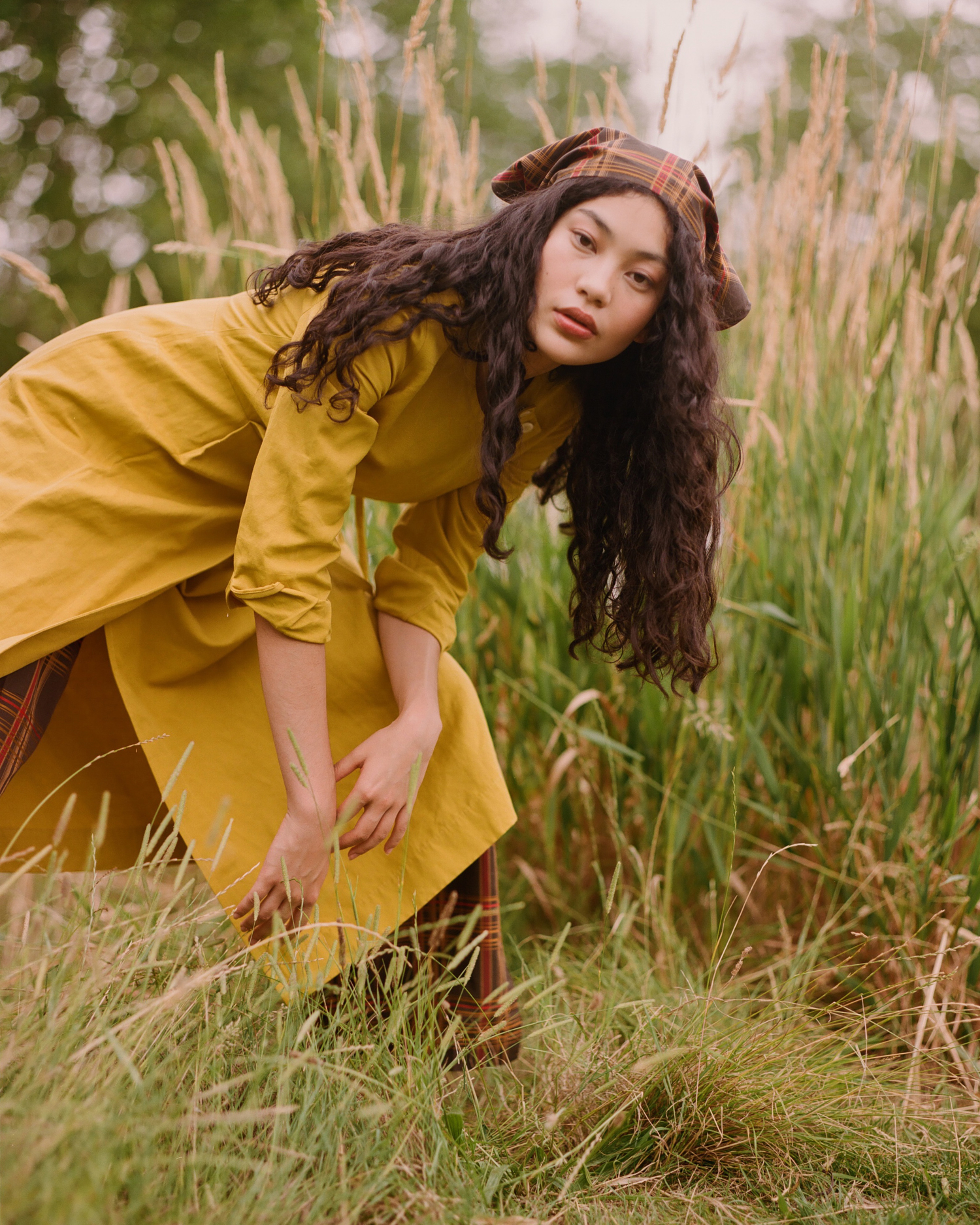 FY | Dream Baby Dream