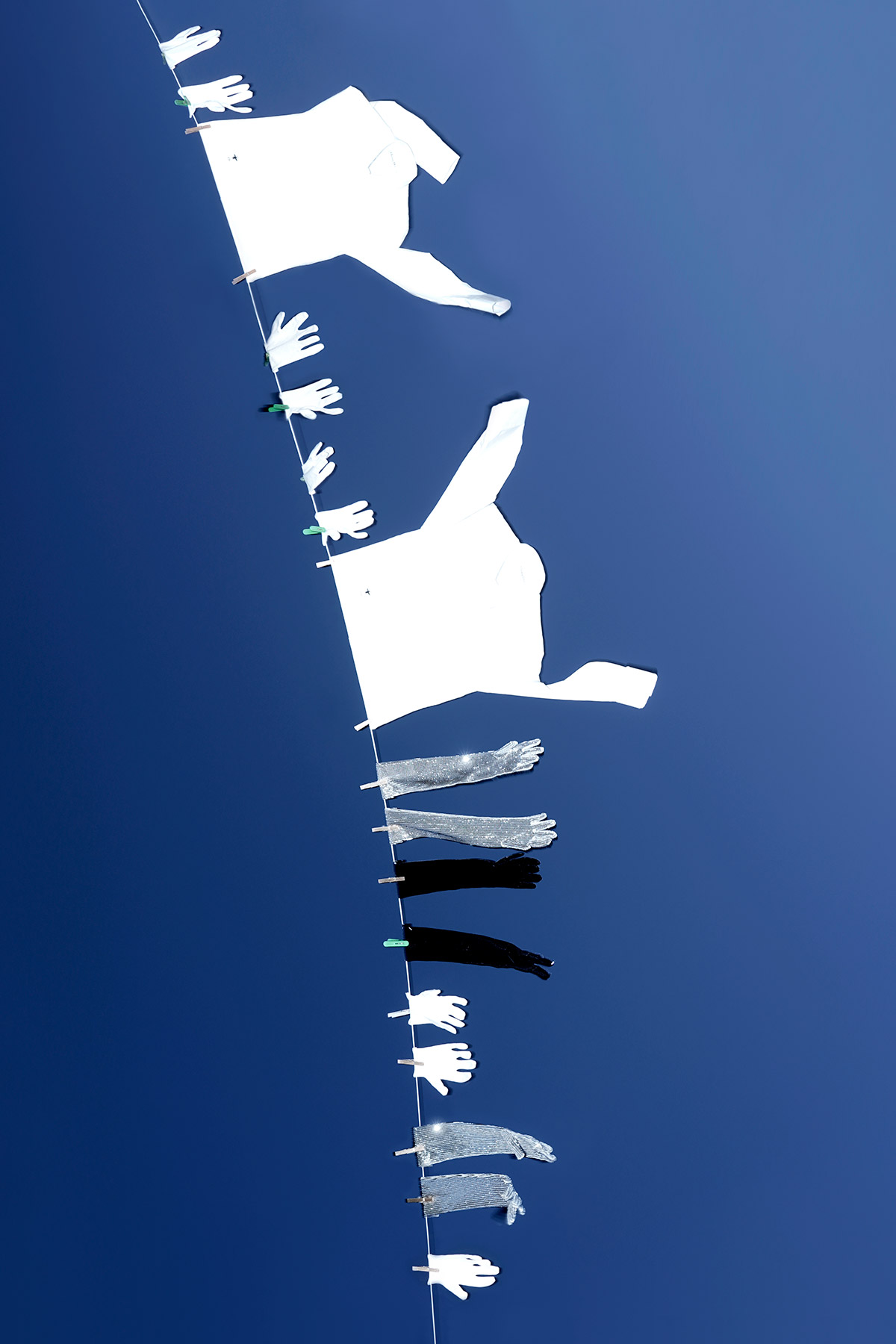 Tank | Foreground Attraction